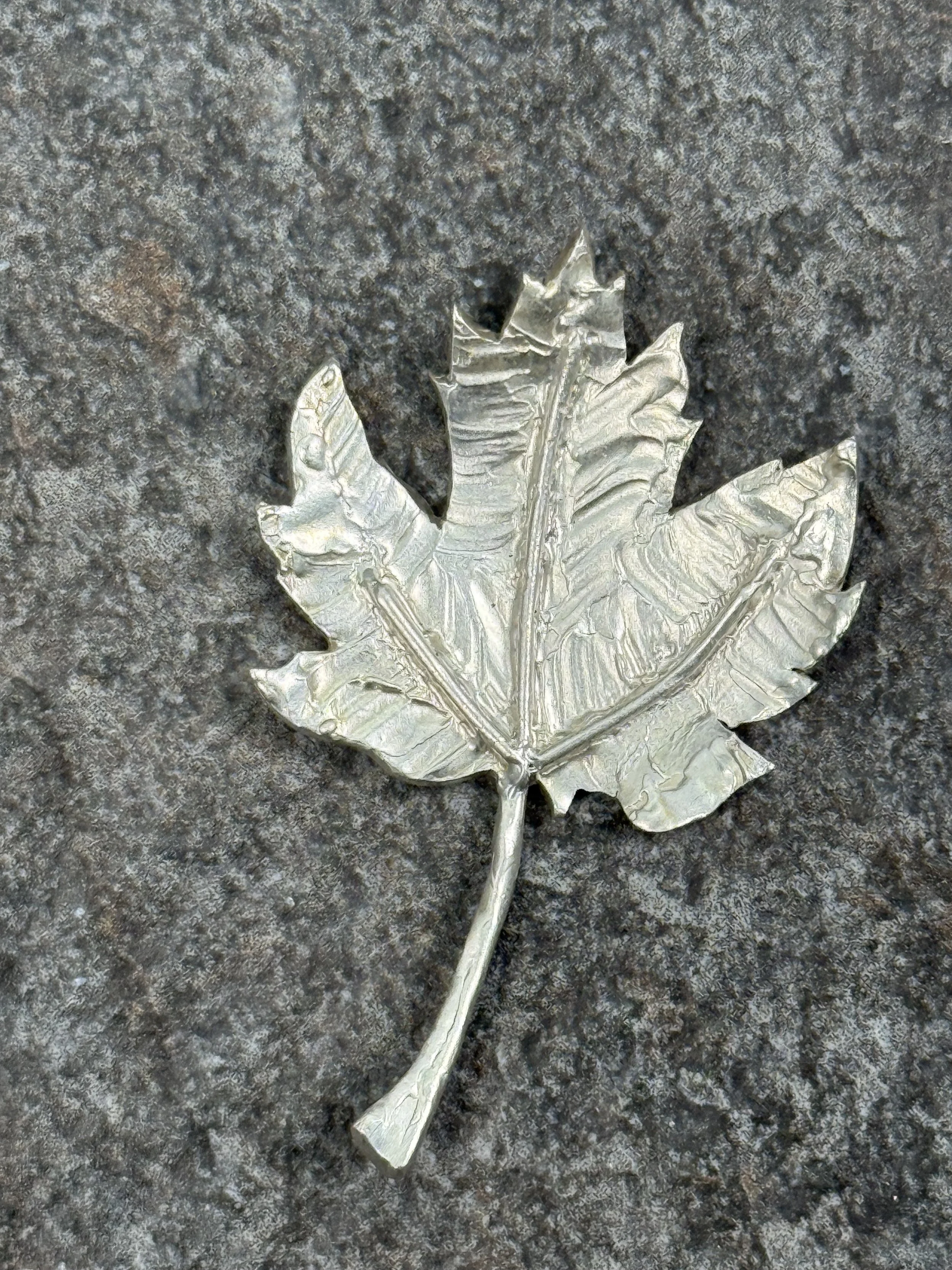 Maple Leaf.jpeg