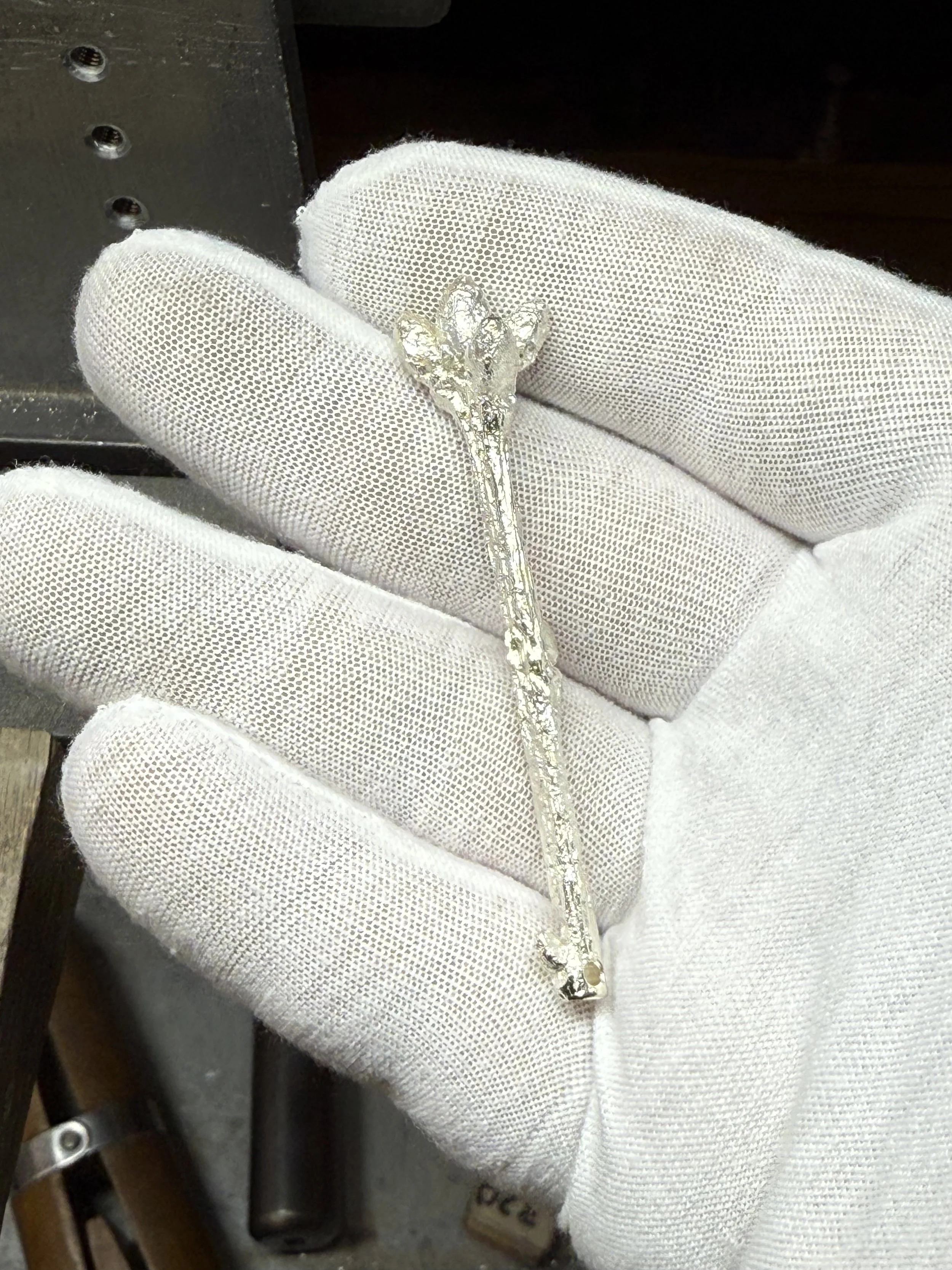 Oak Twig.jpeg