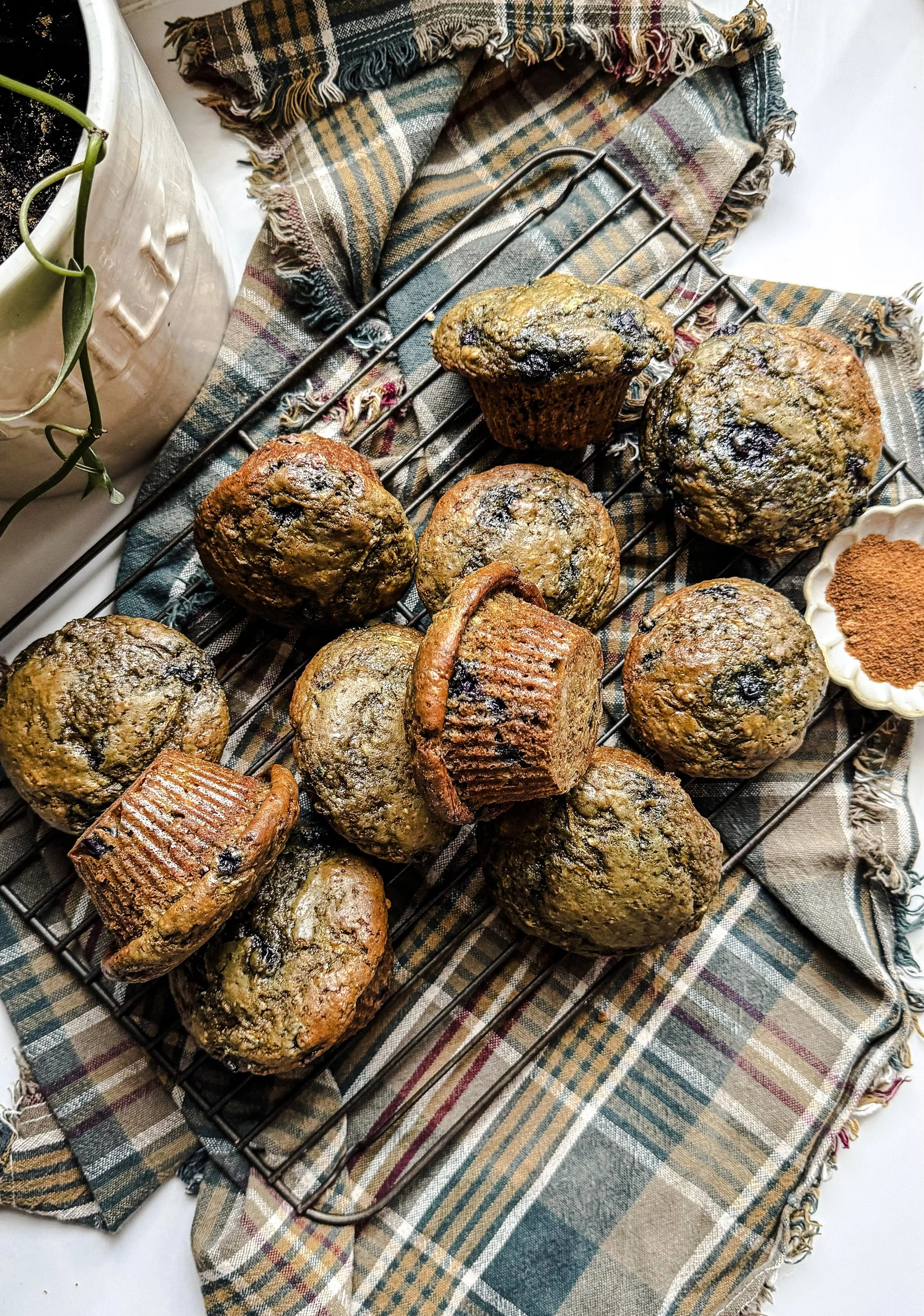 Morning Muffins