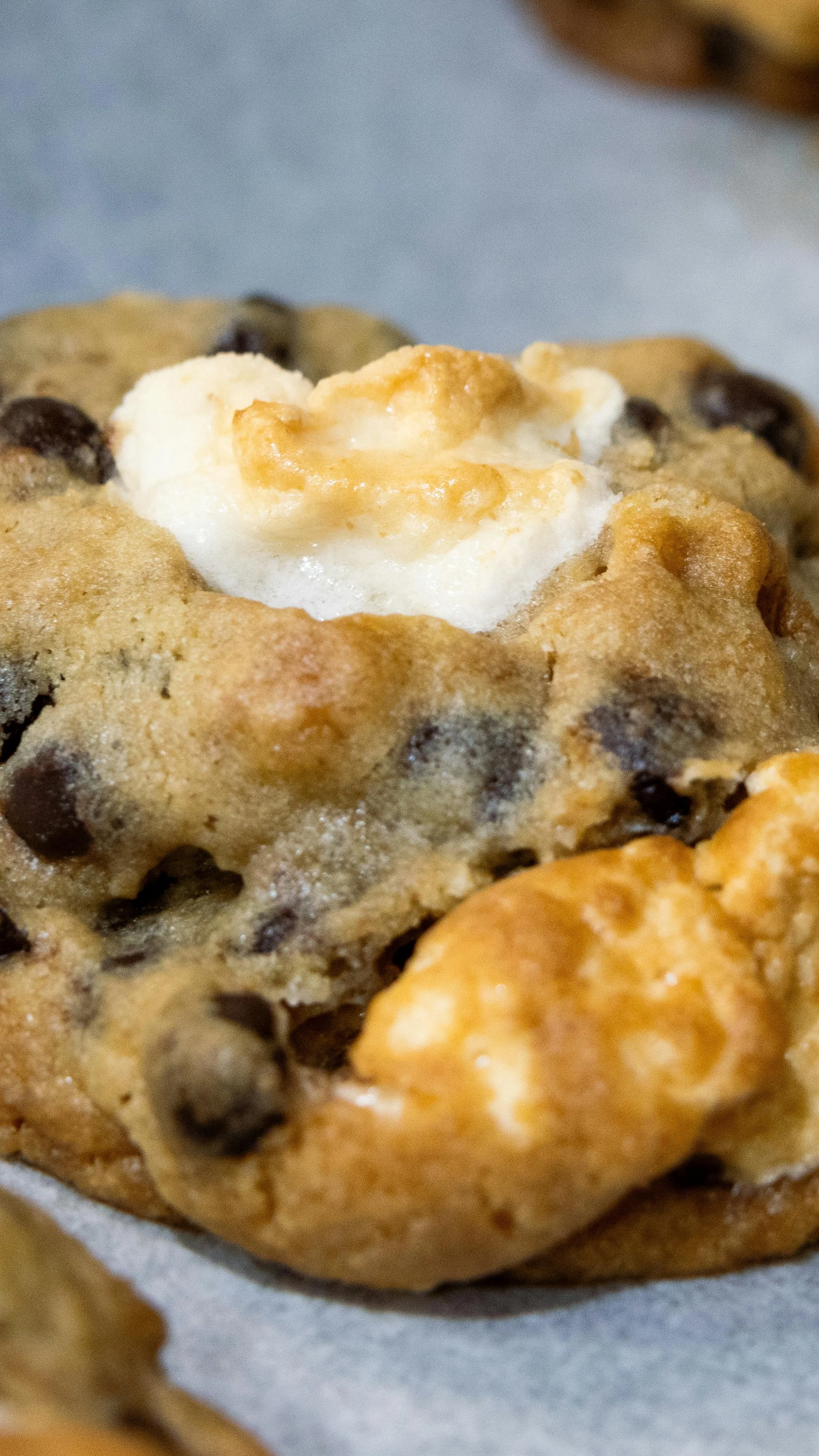 Campfire Cookies