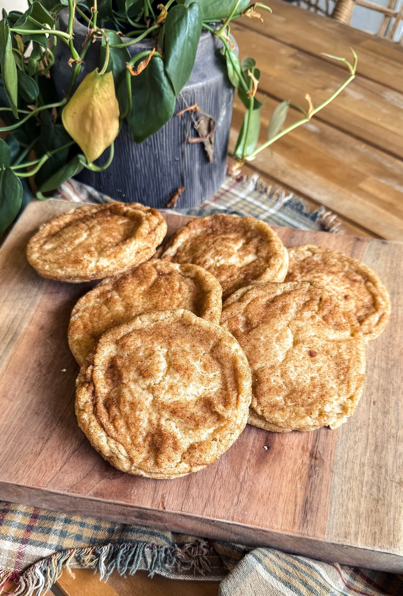Apple Cider Snickerdoodles