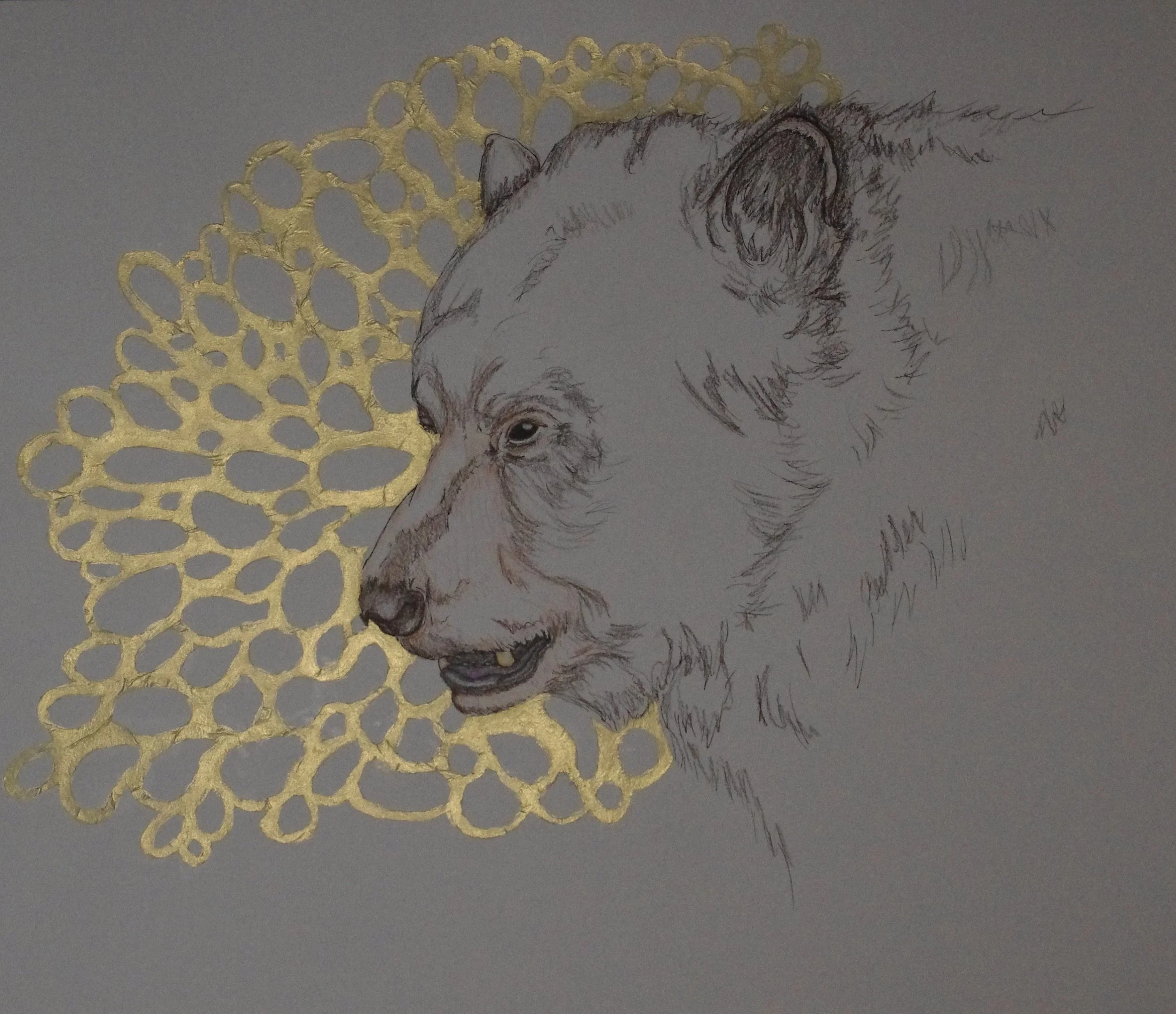 Bear (2015) 14"x17"
- Colored pencil, tracing paper, acrylic on paper