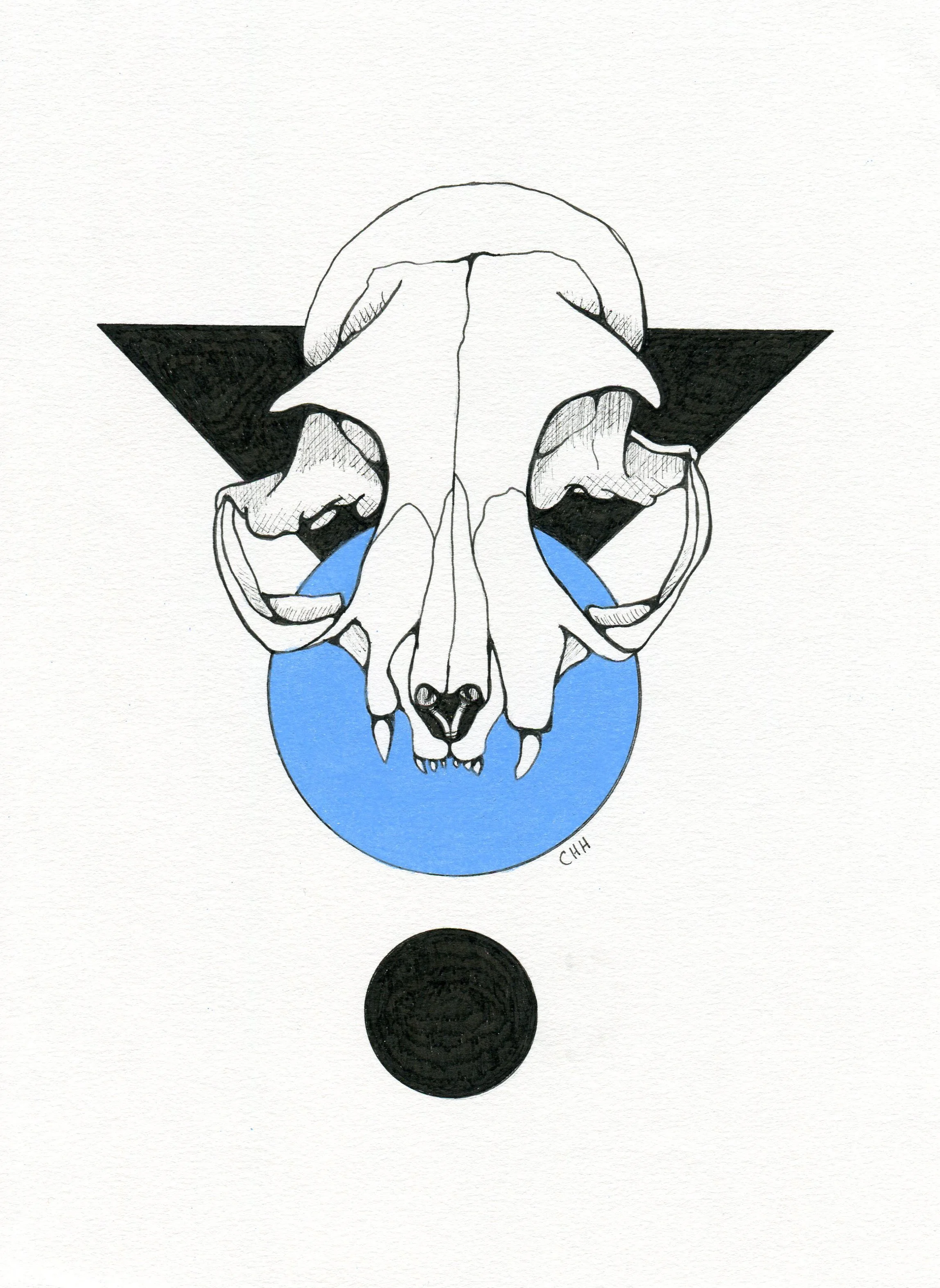Cat Skull (2017) 12"x9"
- Ink and colored pencil on paper