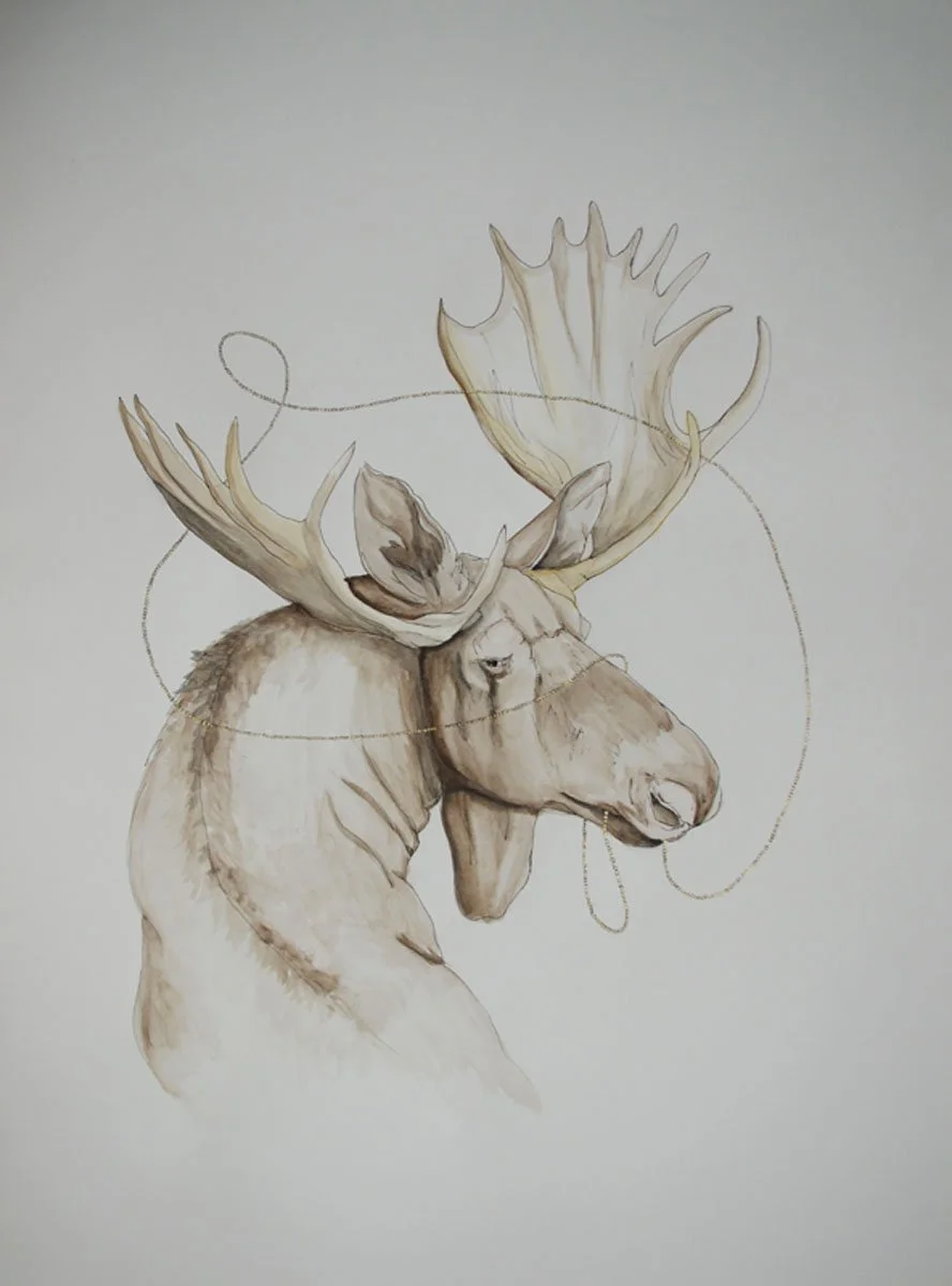 Moose (2016) 24"x18"
- Watercolor, ink, acrylic on paper