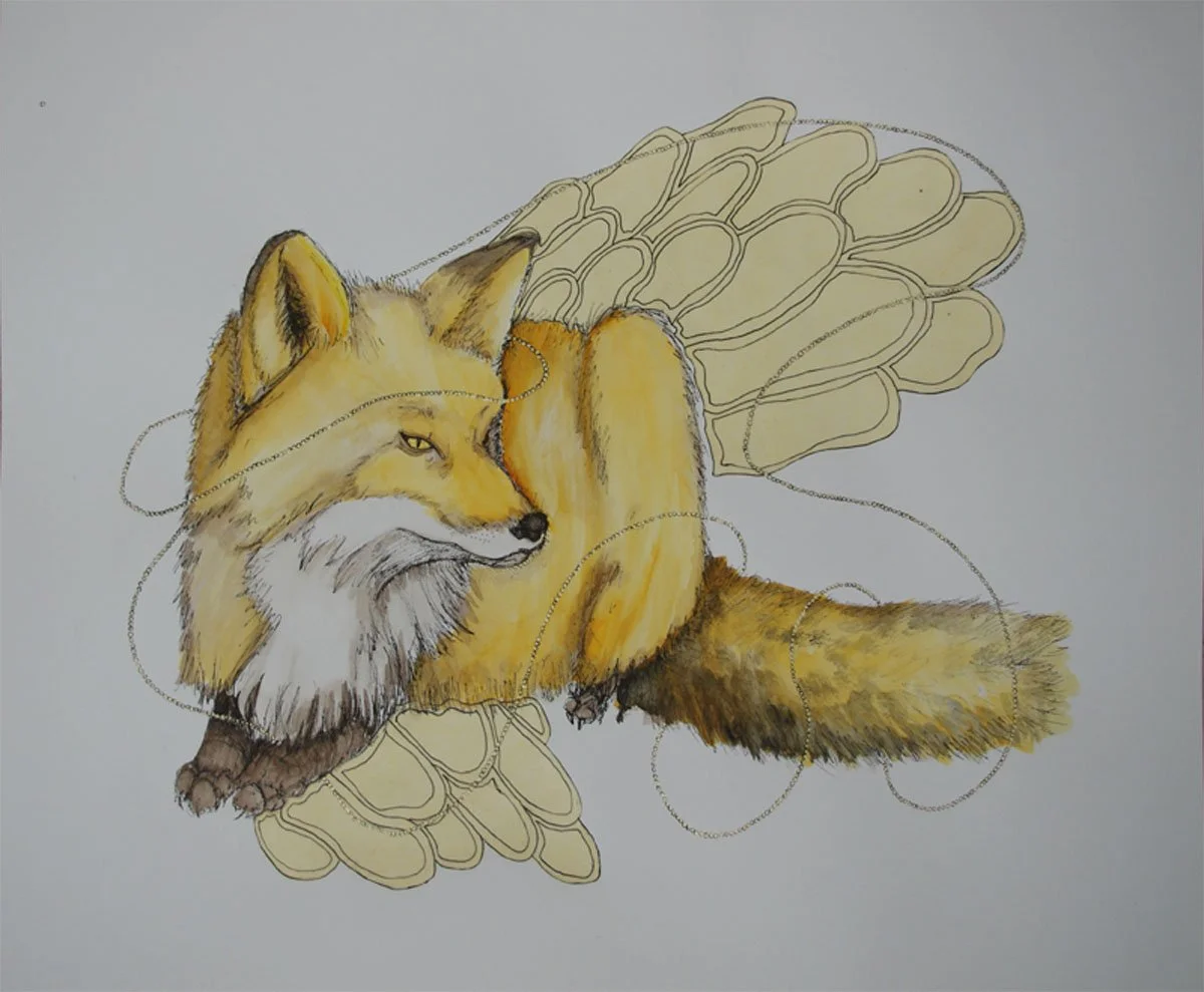 Fox (2016) 14"x17"
- Watercolor, ink, tracing paper, acrylic on paper