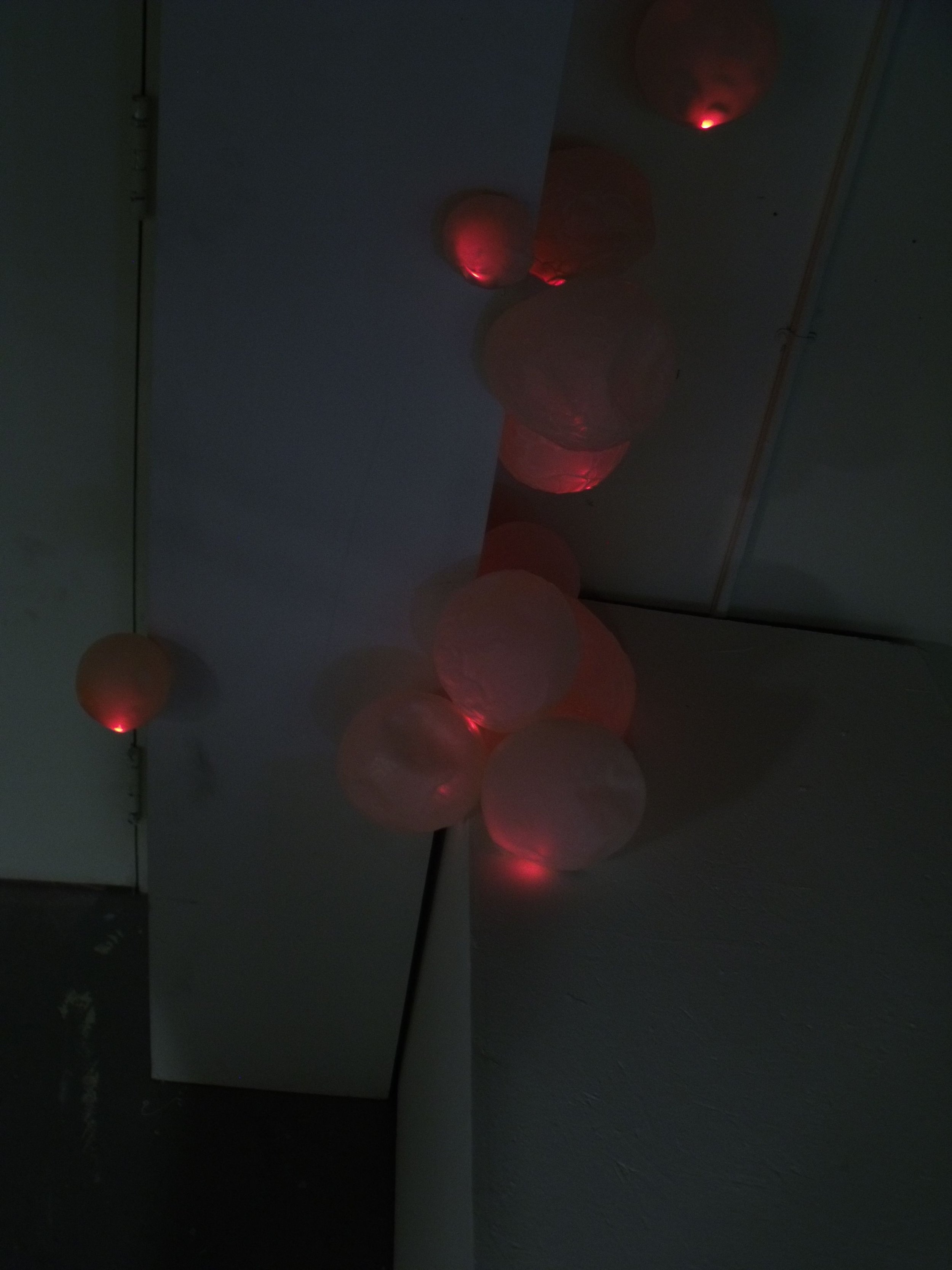 Growth (2011)
Installation
Forms made from Elmer's glue, light-sensitive LEDs, sound