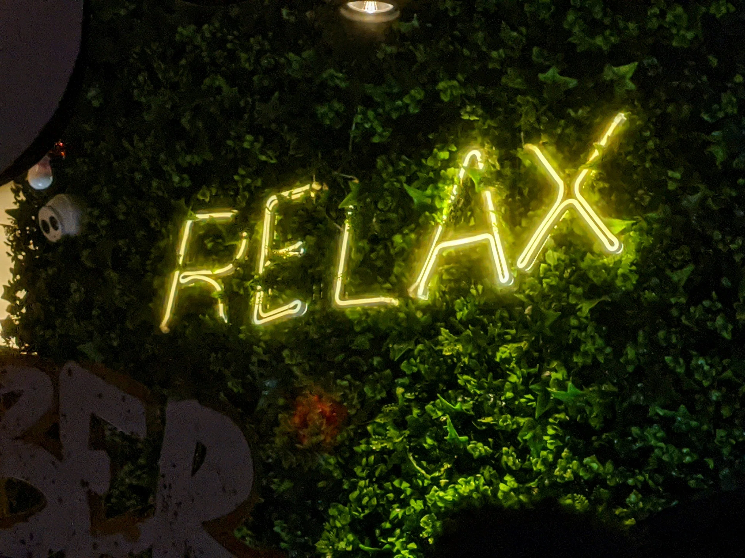 Best Botanical Product for Relaxation