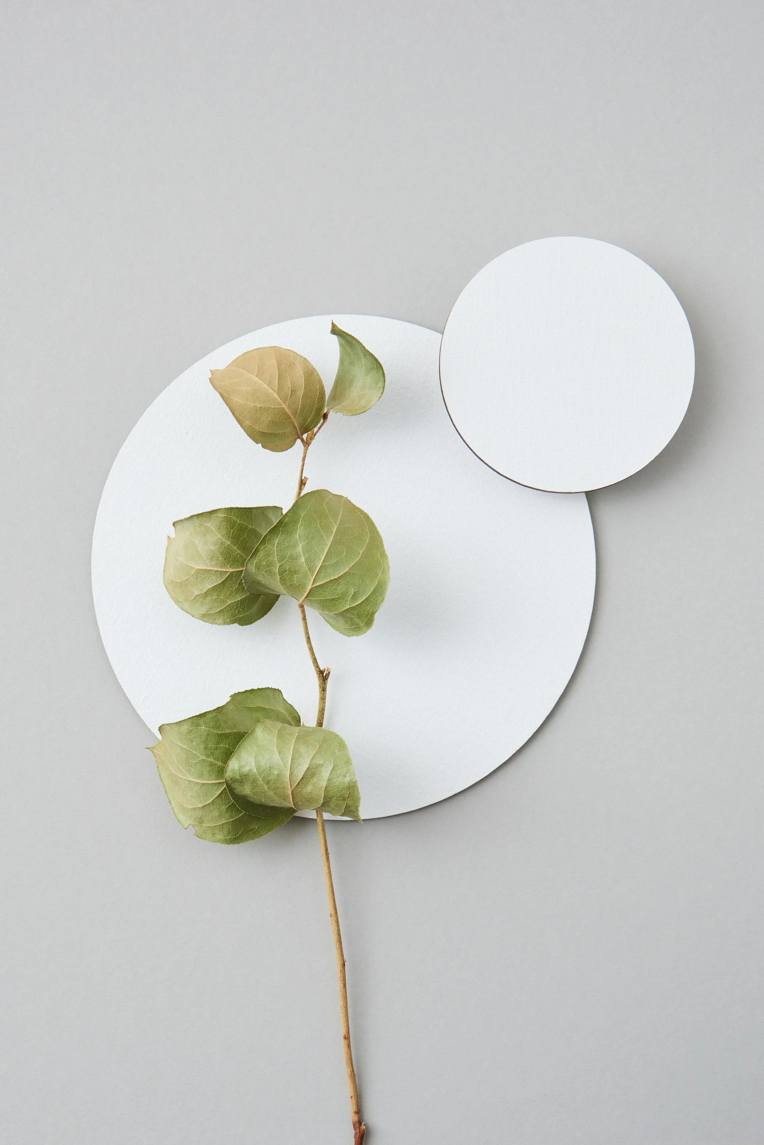 Soft Body Circle - May Monthly Pass