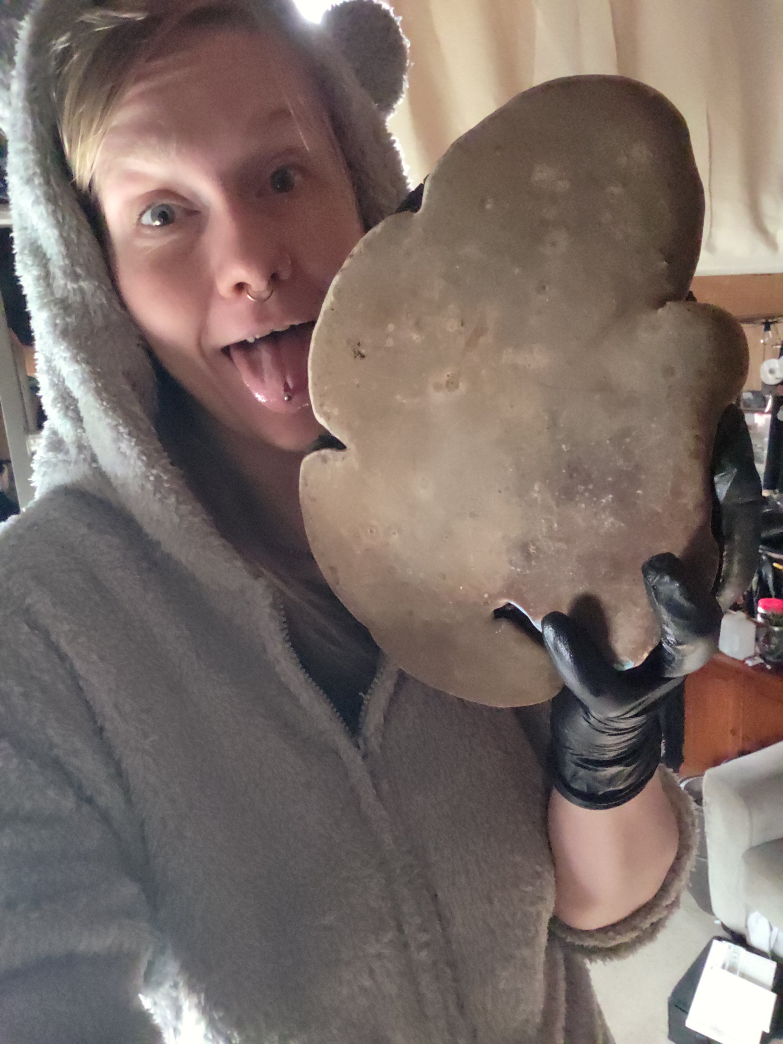 A person with light brown hair and a septum piercing taking a selfie while holding a large metallic object in front of their face. The person is wearing a gray hoodie with the hood up and black gloves. The background shows a beige curtain and some household items.