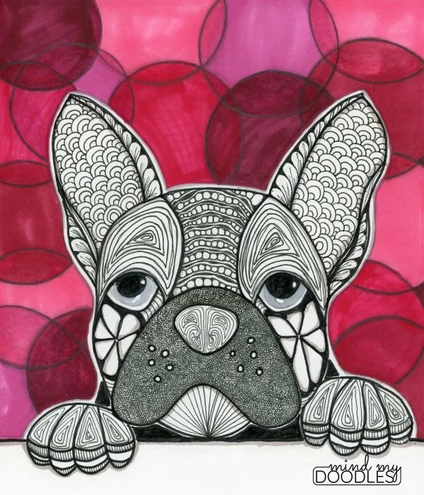 Frenchie_for print.jpg