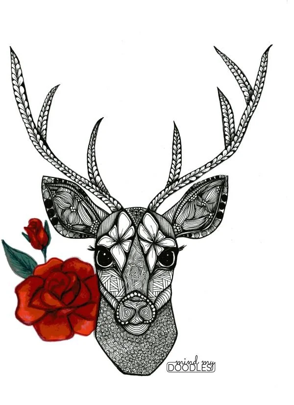 Deer_for print.jpg