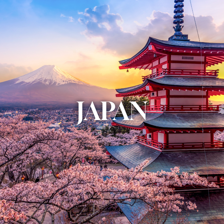 Cherry blossoms near a traditional Japanese pagoda with Mount Fuji in the background at sunset.