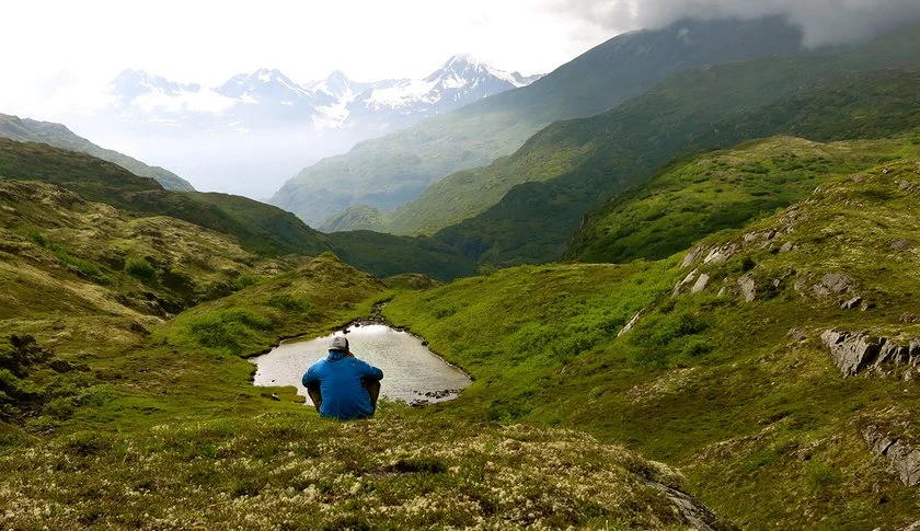 Traveler resting by an alpine pond in Wrangell–St. Elias near our Alaskan lodge.