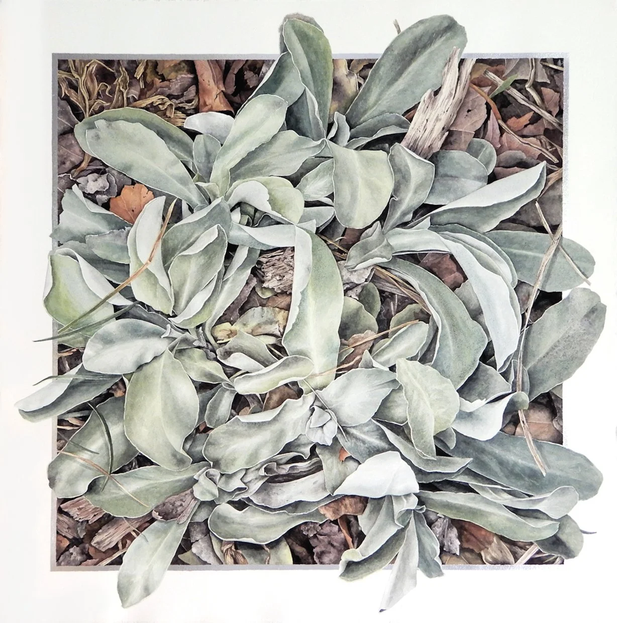 CLASS: Exploring Nature in Watercolor & Gouache