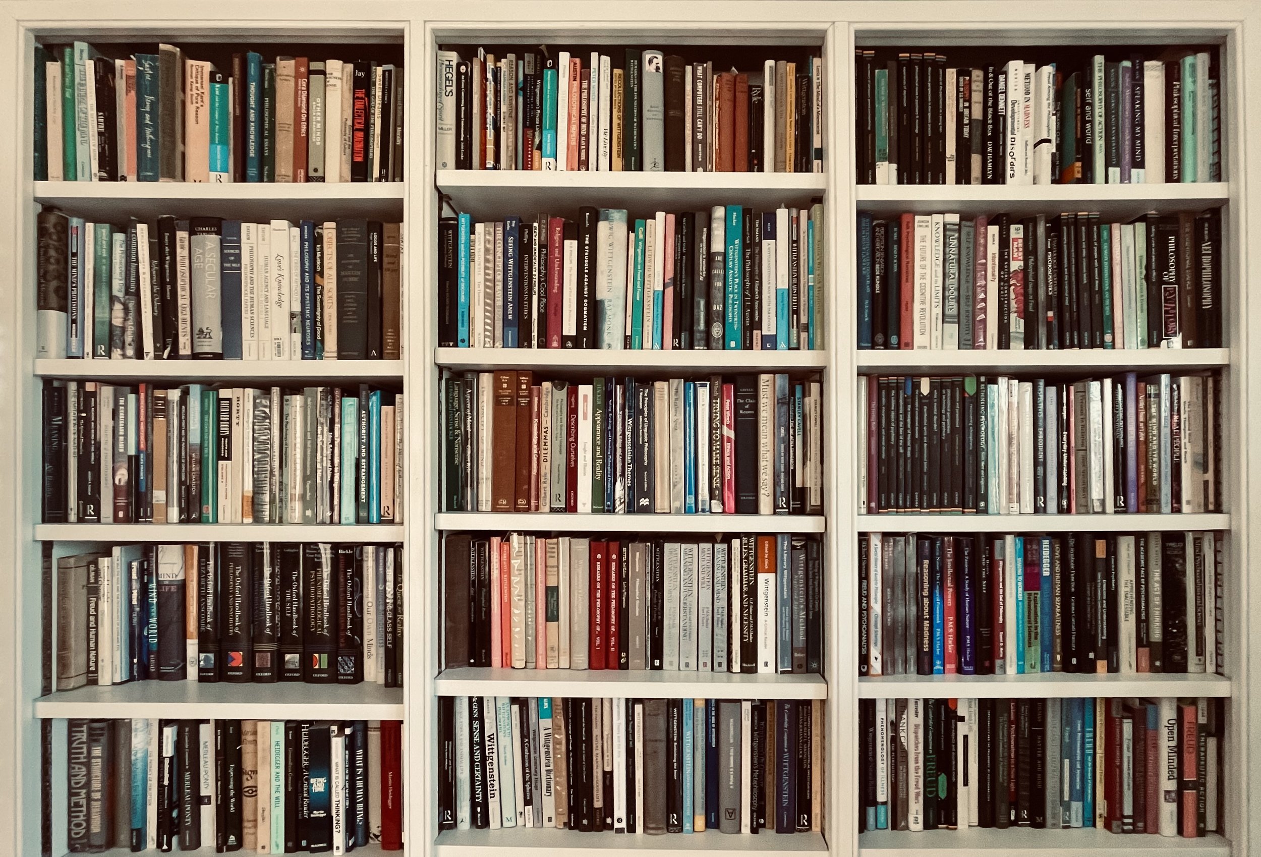 Academic Supervision, Philosophy, Psychotherapy, Clinical Psychology