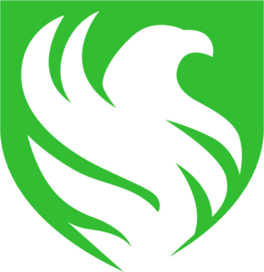 Team Falcons, Saudia Arabia-based esports organisation with a outline of a falcon on a green shield background