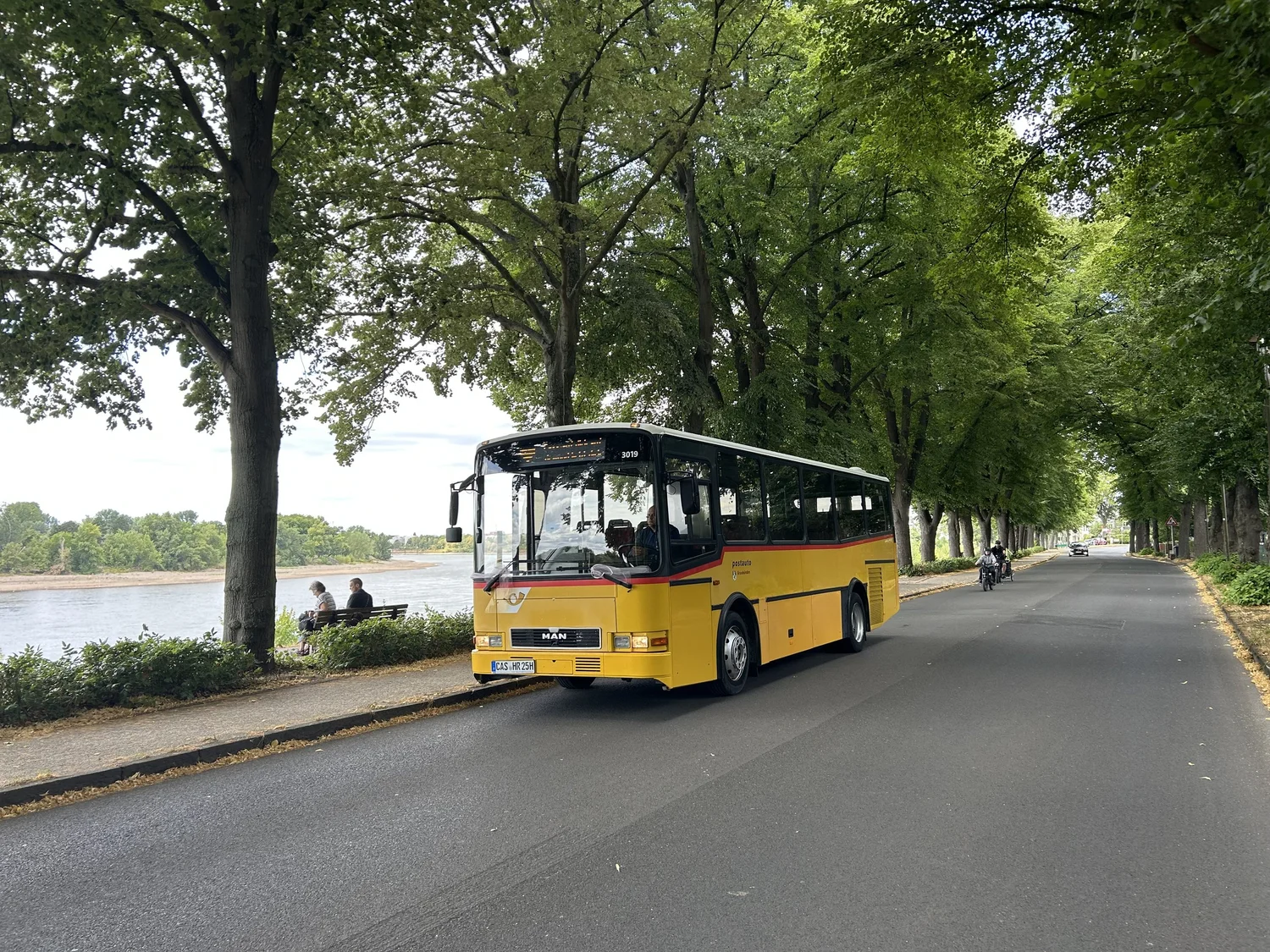 Historischer gelber Postbus an einer Allee