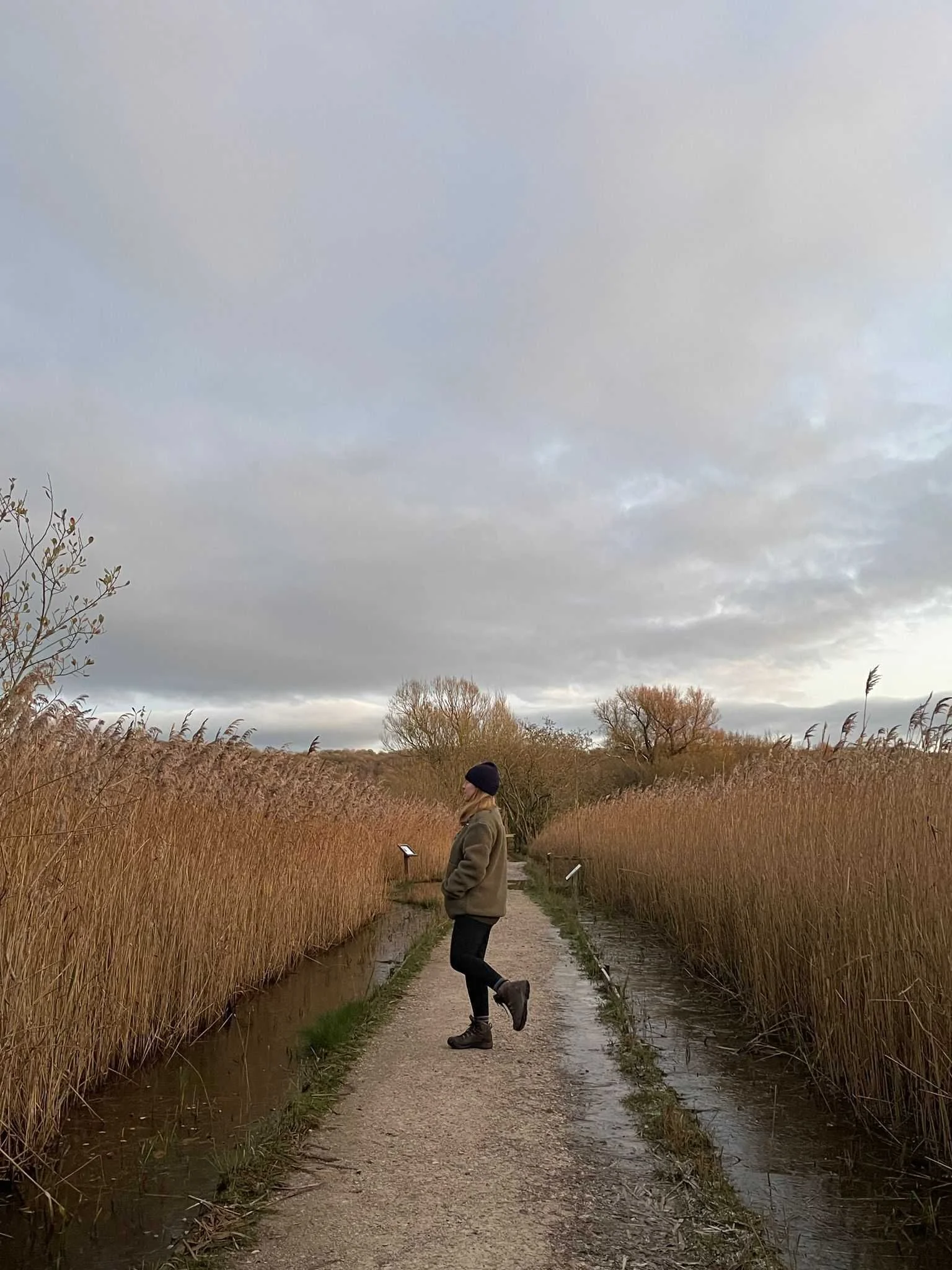 A person in a beige jacket, black pants, and hiking boots standing on a narrow gravel path in a wetland area with tall, golden grasses on either side. The person is wearing a black hat and appears to be reading a book or a device. The sky is cloudy and overcast, with a few trees in the background.