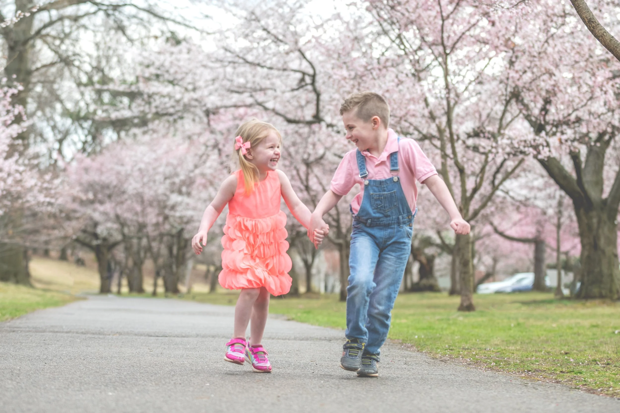 Two children, a girl and a boy, holding hands and running through a park with pink cherry blossoms in bloom.