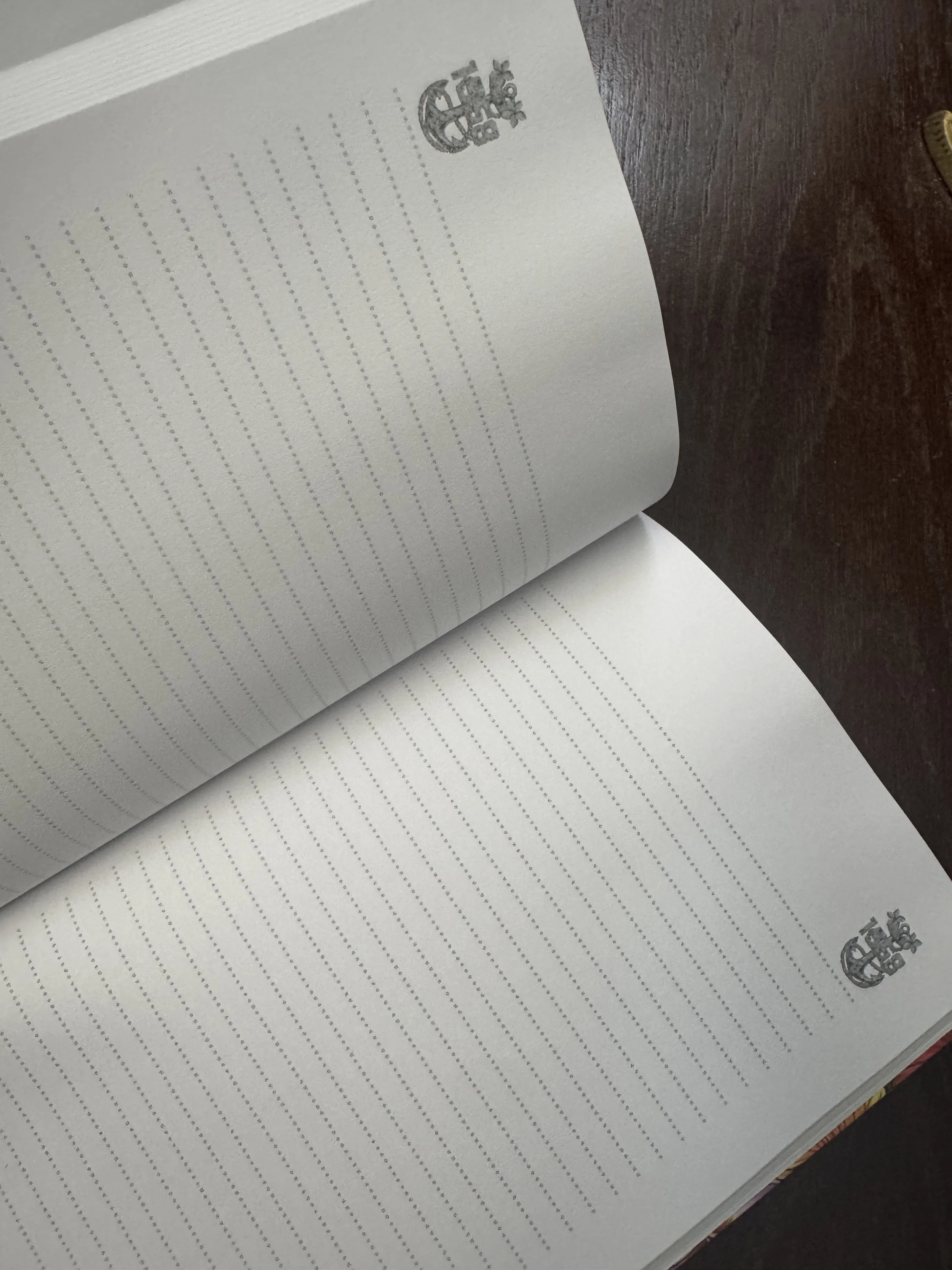 IMG_6026.jpeg