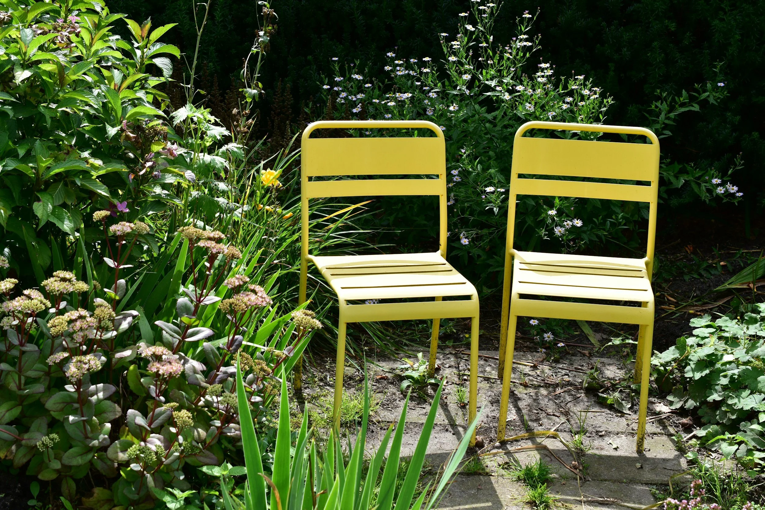 two yellow chairs on a patio in a garden