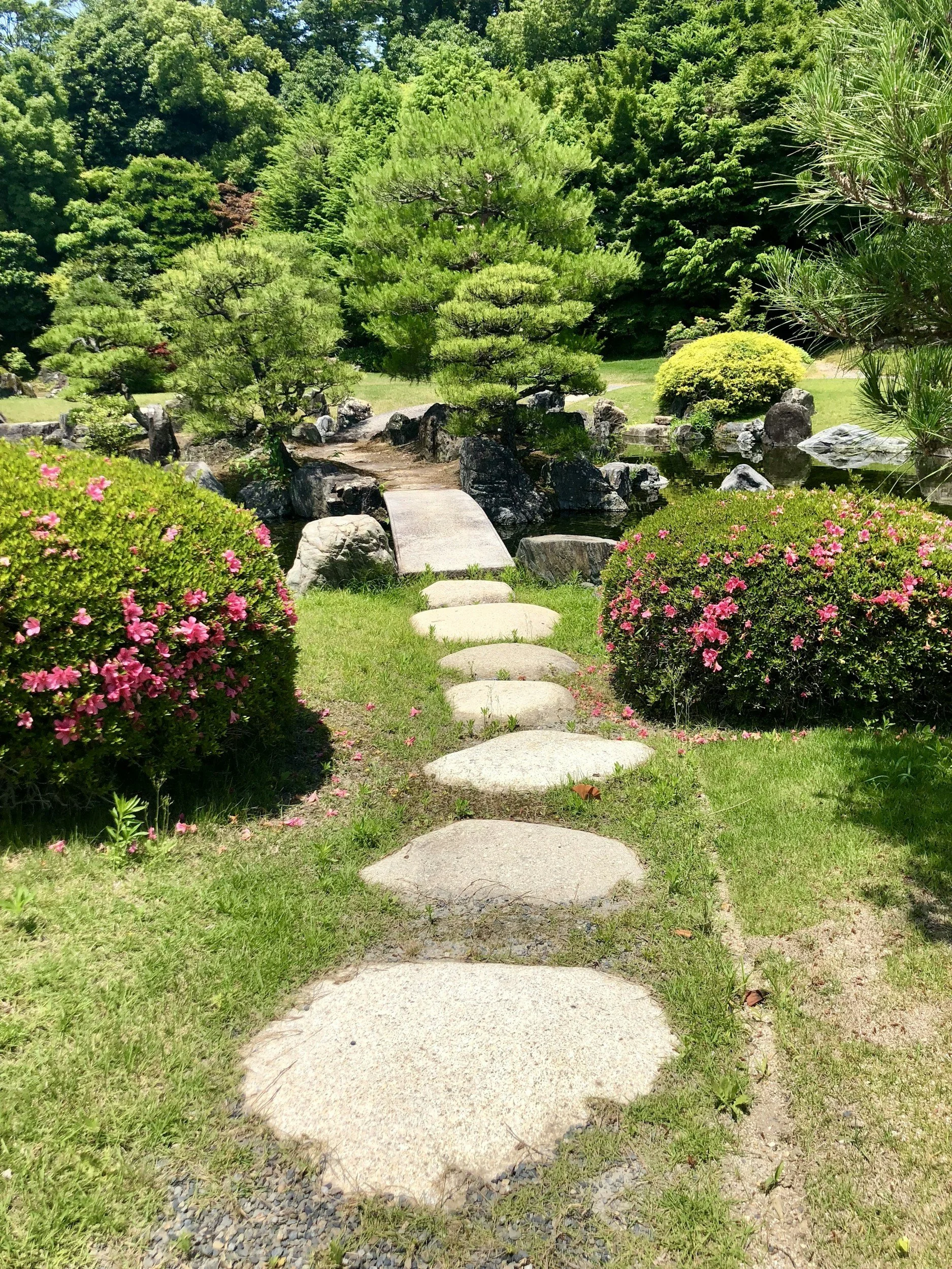stepping stones leading to a bridge in a garden