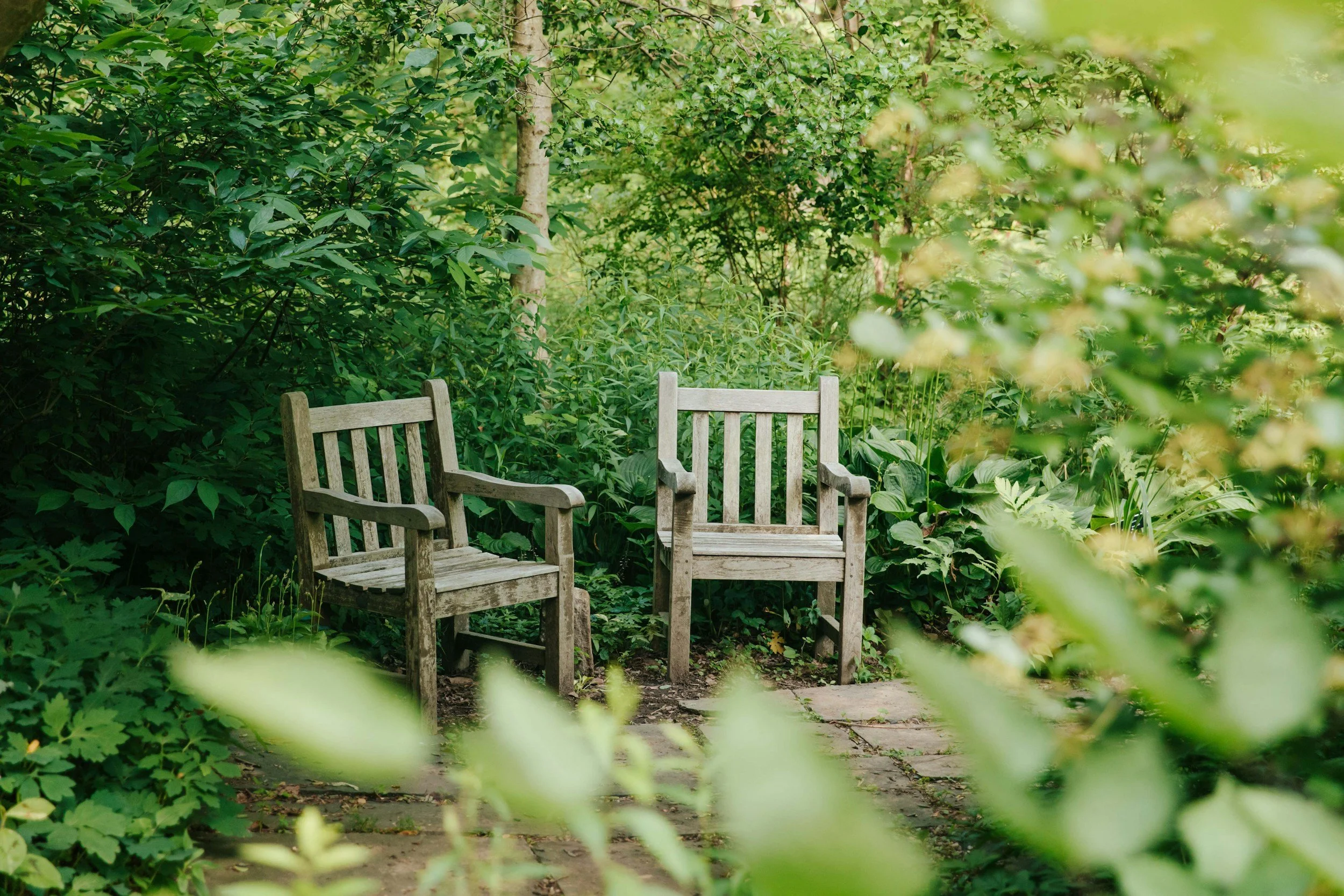 two wooden chairs in a woodland garden