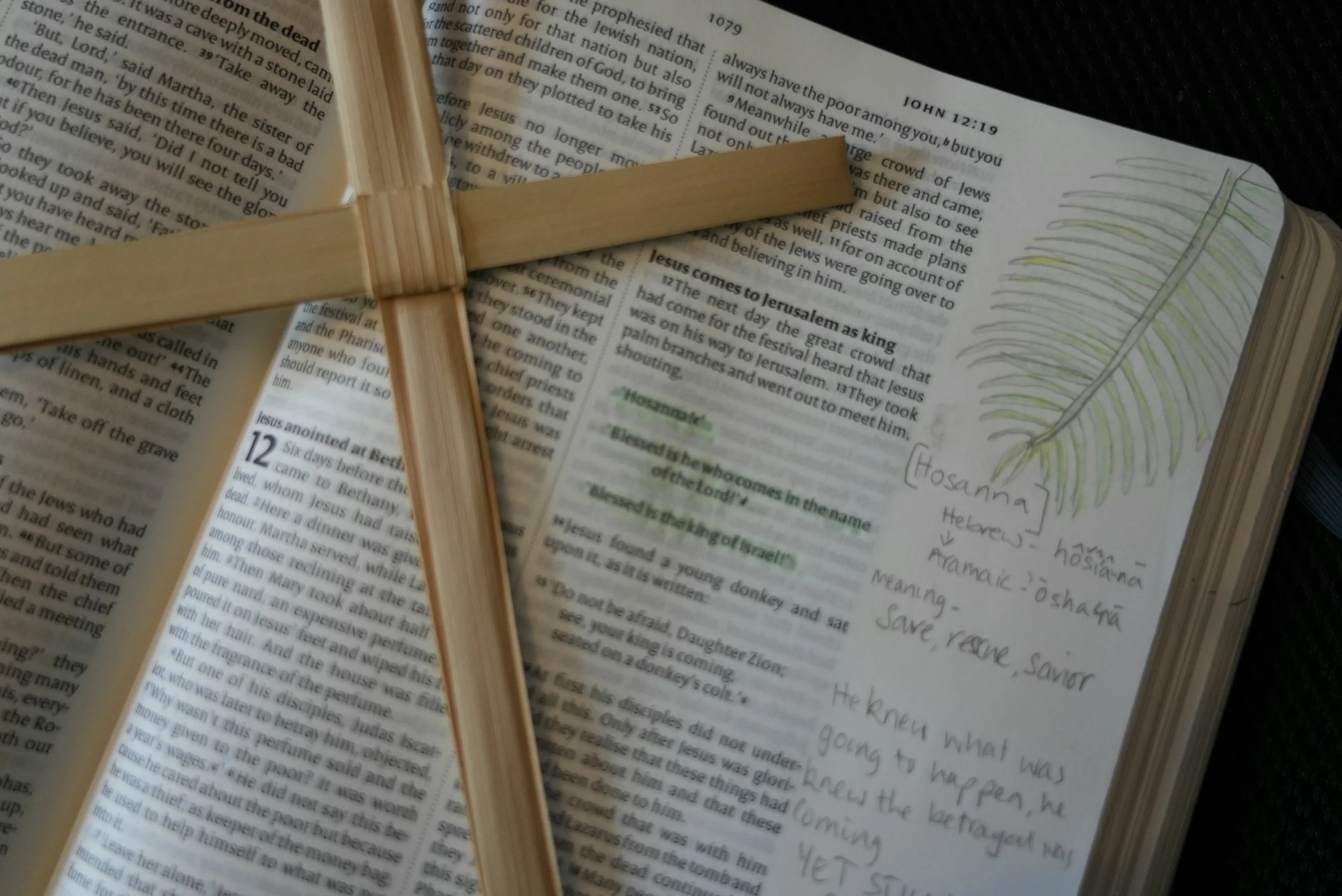 Palm Sunday