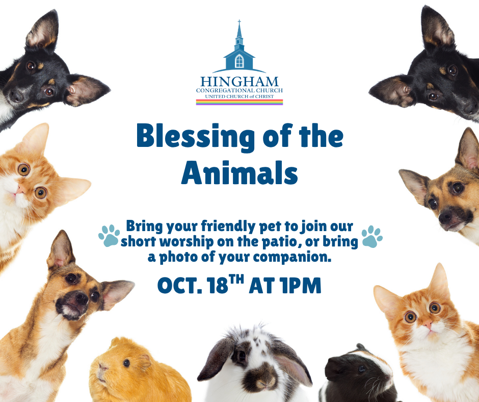 Blessing of The Animals
