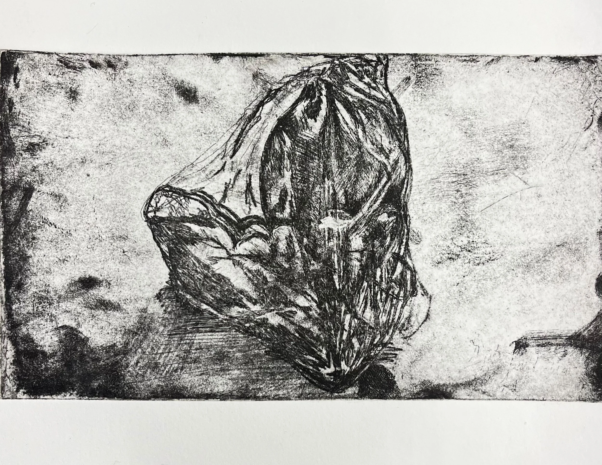 "Shrinkwrap, Placenta". 2024.
Copper etching.
 plate size: 3.5" x 5"