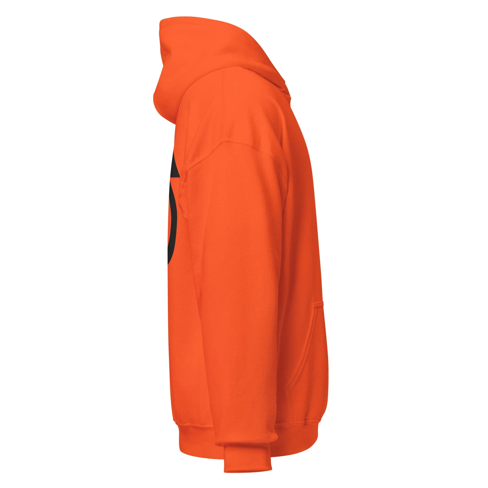 Sacred Forsaken Hoodie