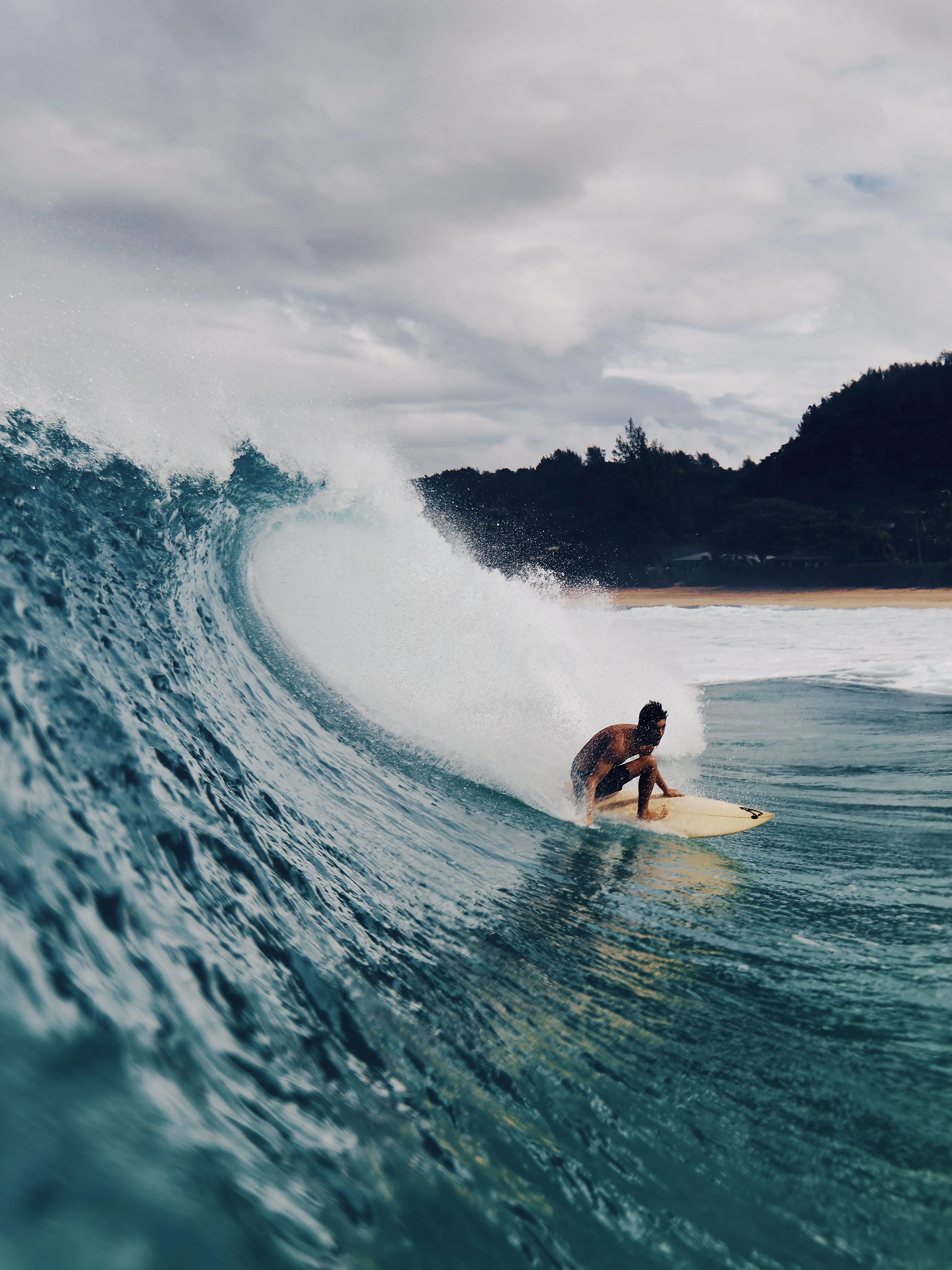 Freaks of Nature x North Shore Surf