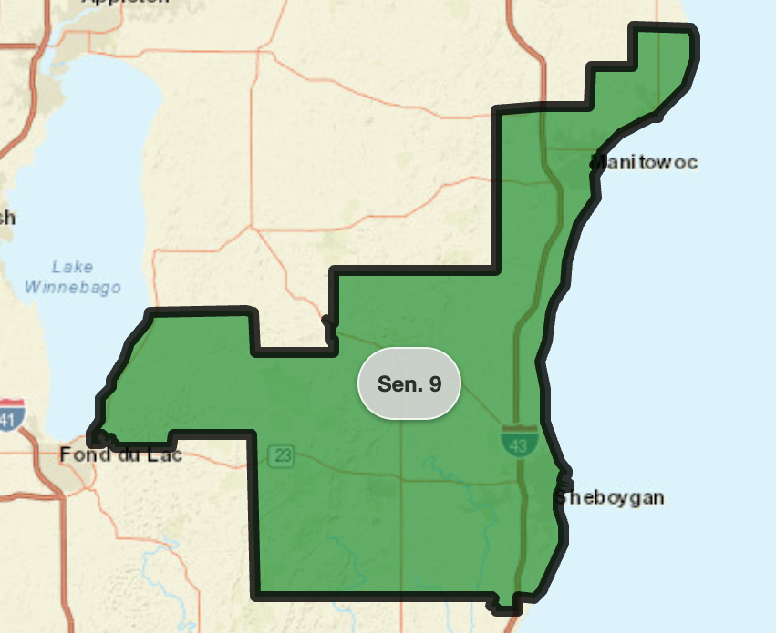 Map highlighting the 9th Senate District in Michigan, which includes areas such as Saginaw and around Lake Winnebago.