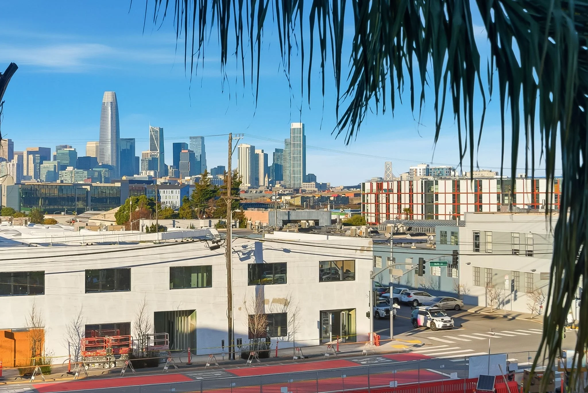 City skyline with a mix of tall skyscrapers and shorter buildings under a clear blue sky, with palm tree leaves in the foreground.