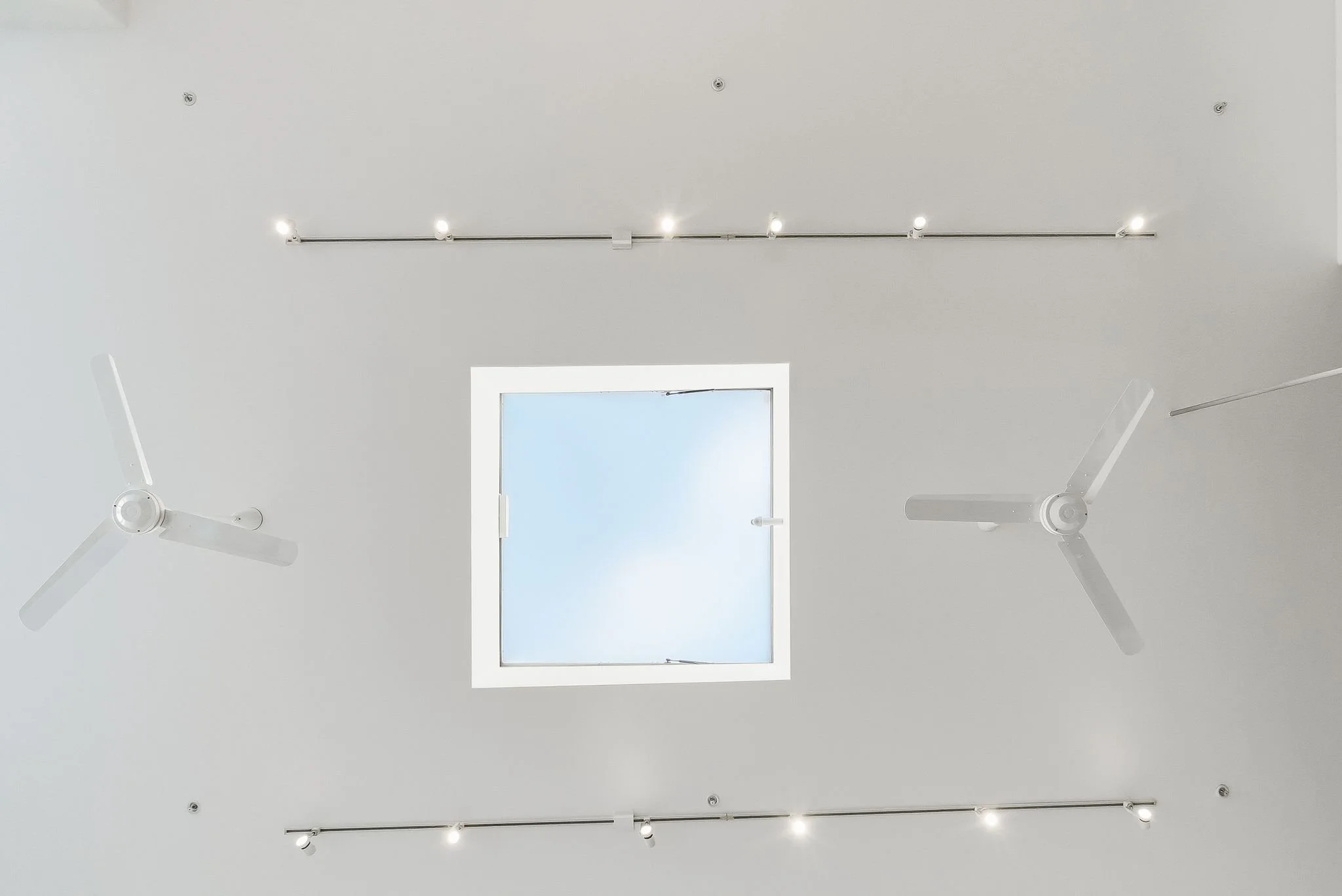 Ceiling with two white ceiling fans, a skylight, and track lighting.