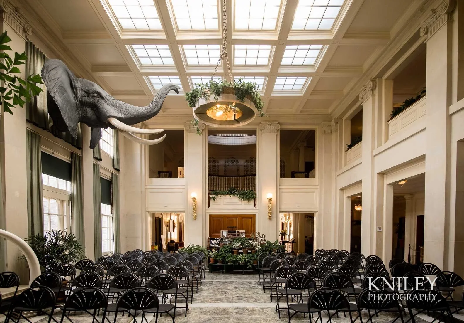 Interior of a grand hall with high ceilings and large windows, featuring a mounted elephant head on the left wall, rows of black chairs, and potted plants, with a chandelier hanging from the ceiling.