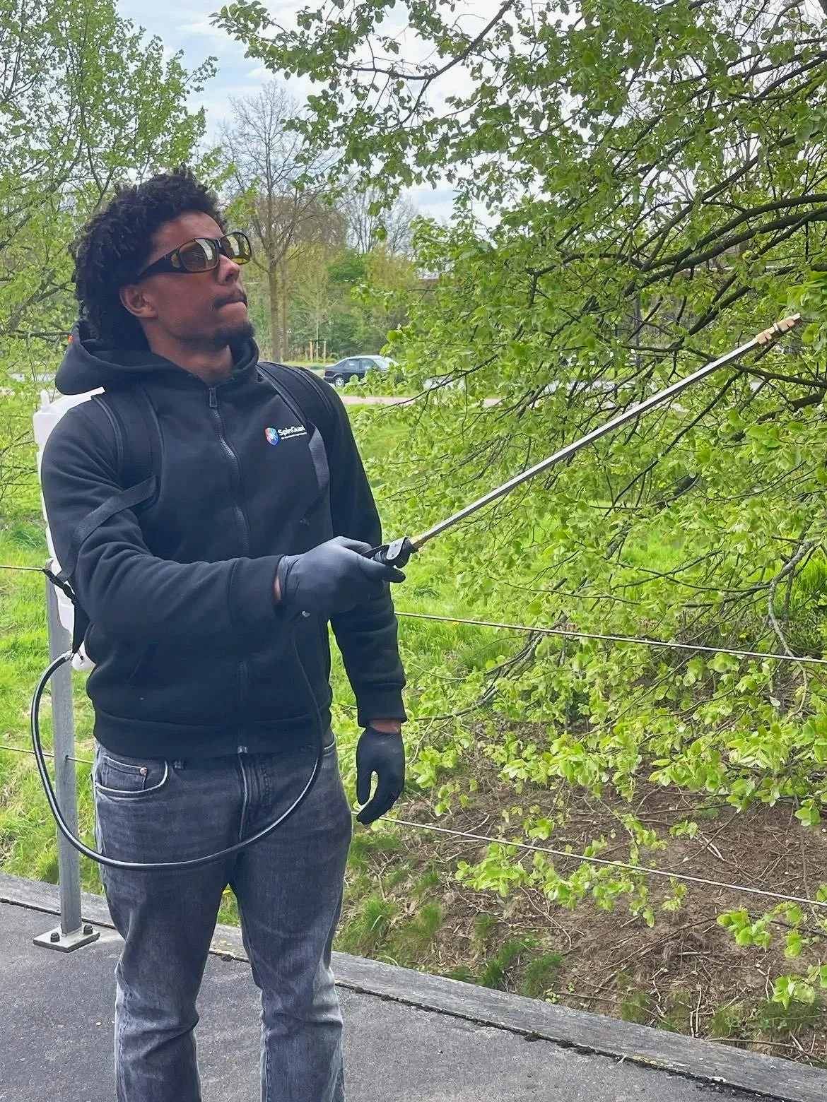 Man in een zwart jack en zwarte handschoenen gebruikt een spuit om een boom te behandelen, met groene bladeren en een hek ernaast.