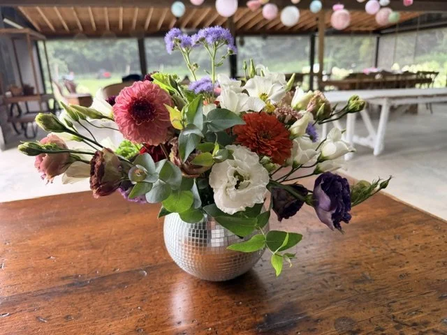Discos & Dahlias