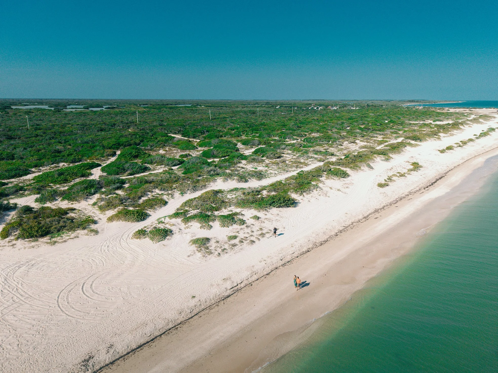 playa chuburná merida yucatan