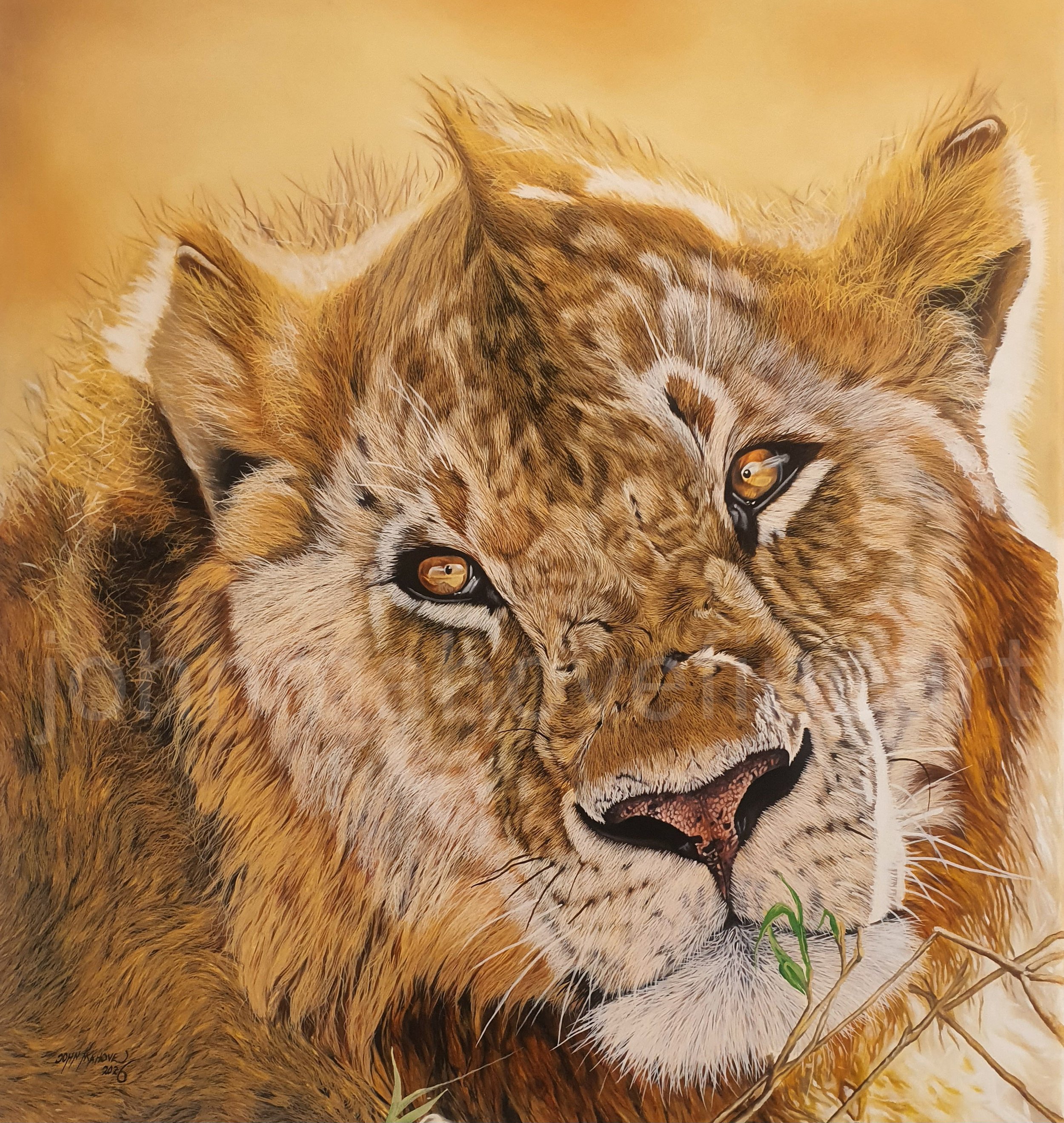 Golden Reflection — realistic oil painting of a majestic male lion, his face illuminated by warm golden light against the African wilderness.