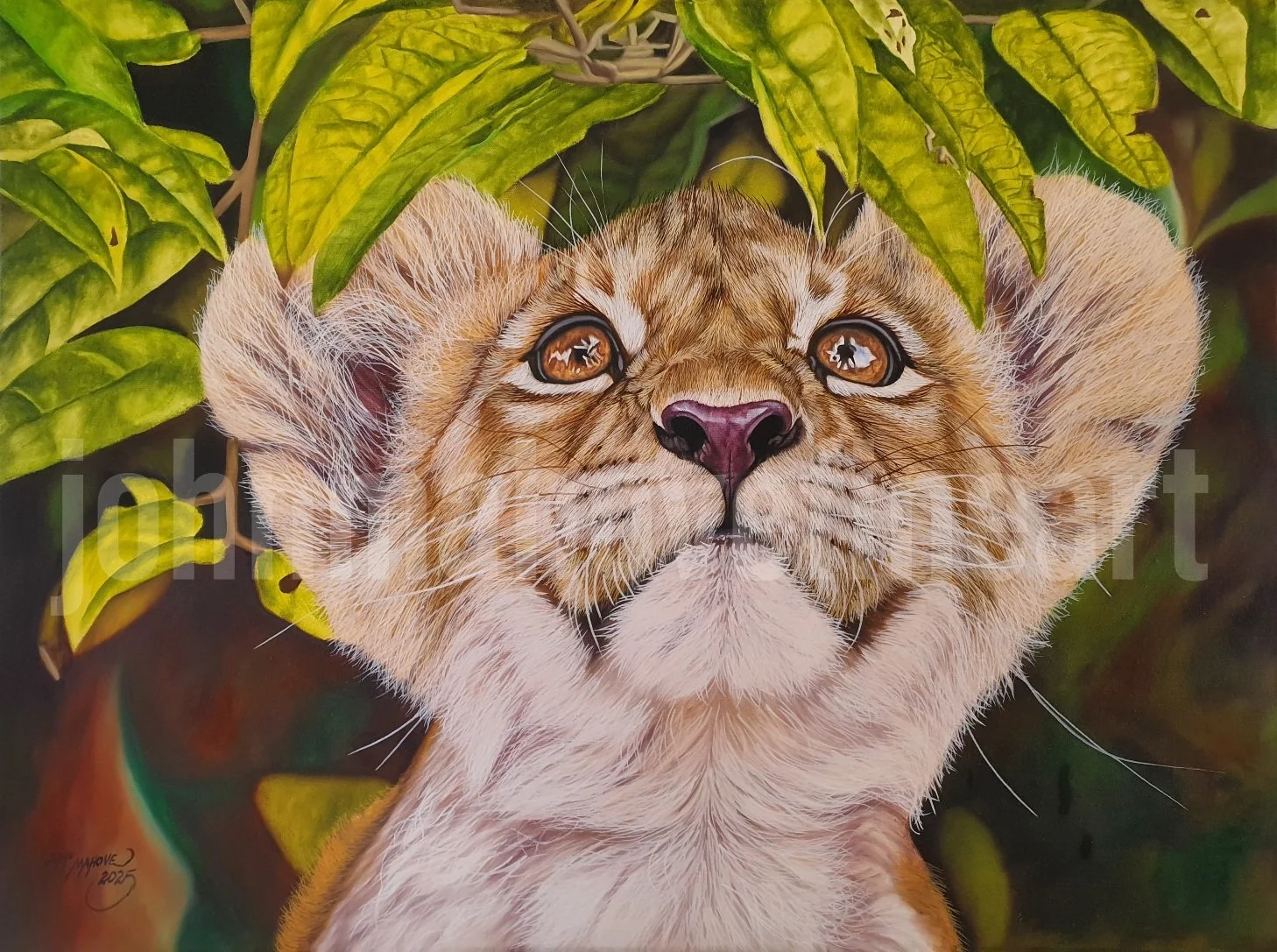 Innocent Curiosity, original realism lion cub oil painting by Zimbabwean artist John Mahove, expressive wildlife portrait
