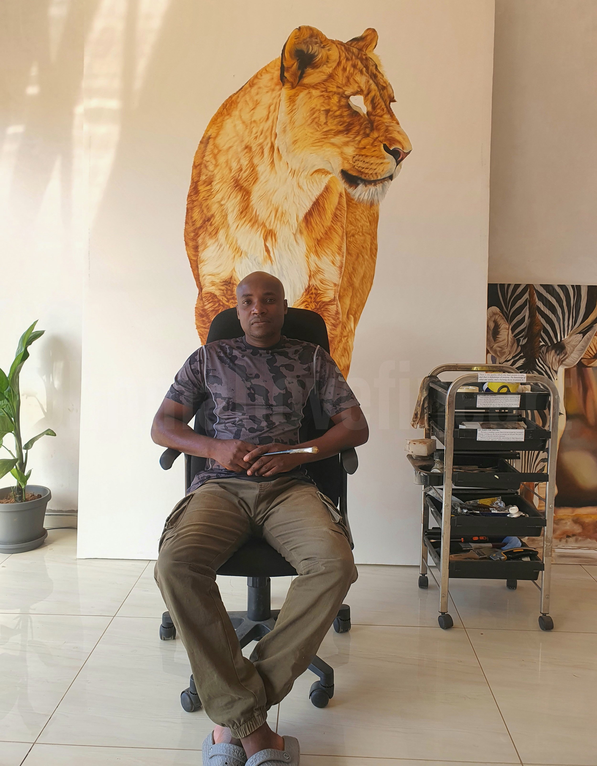 John Mahove, Zimbabwean wildlife  oill painter,in the studio large-scale lion painting