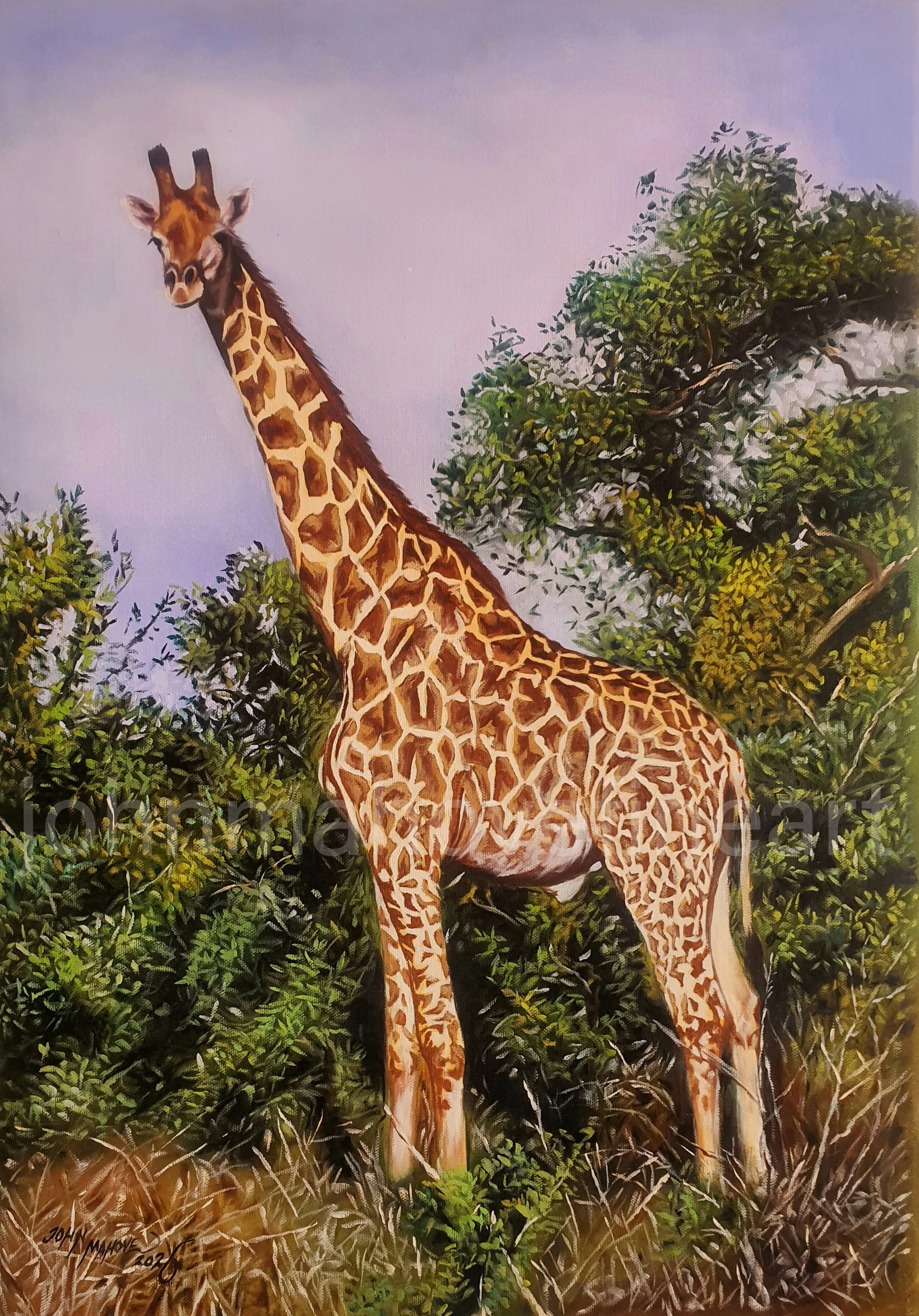 Above the Bushveld — realistic oil painting of an African giraffe standing tall above the surrounding bushveld, its long neck rising against the natural landscape.