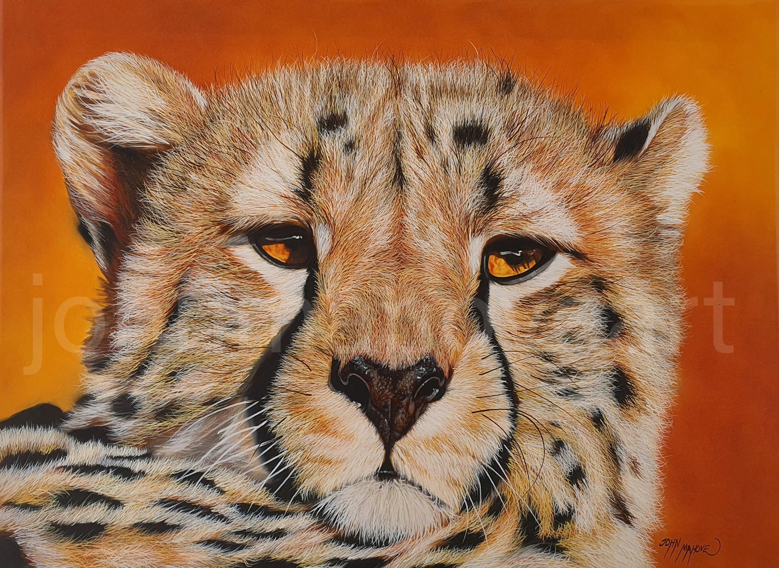Unspoken, original realism cheetah oil painting by Zimbabwean artist John Mahove, close-up wildlife portrait with intense gaze