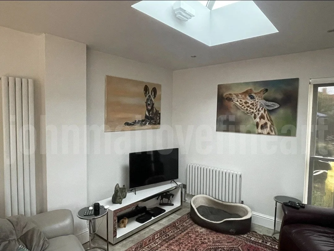 Original oil painting by John Mahove displayed in a private collector’s home. This interior setting highlights how the work lives within a real space, reflecting the connection between wildlife art and contemporary interiors. Collected worldwide and 