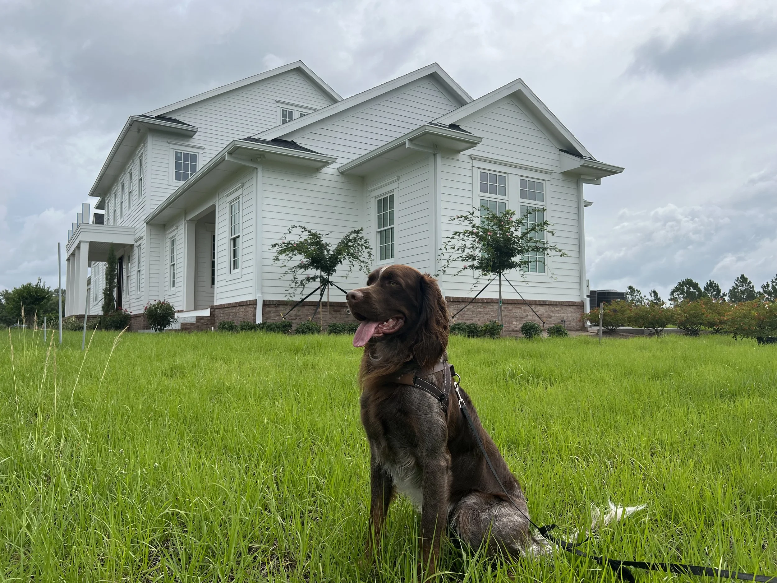 Panther Ridge Project