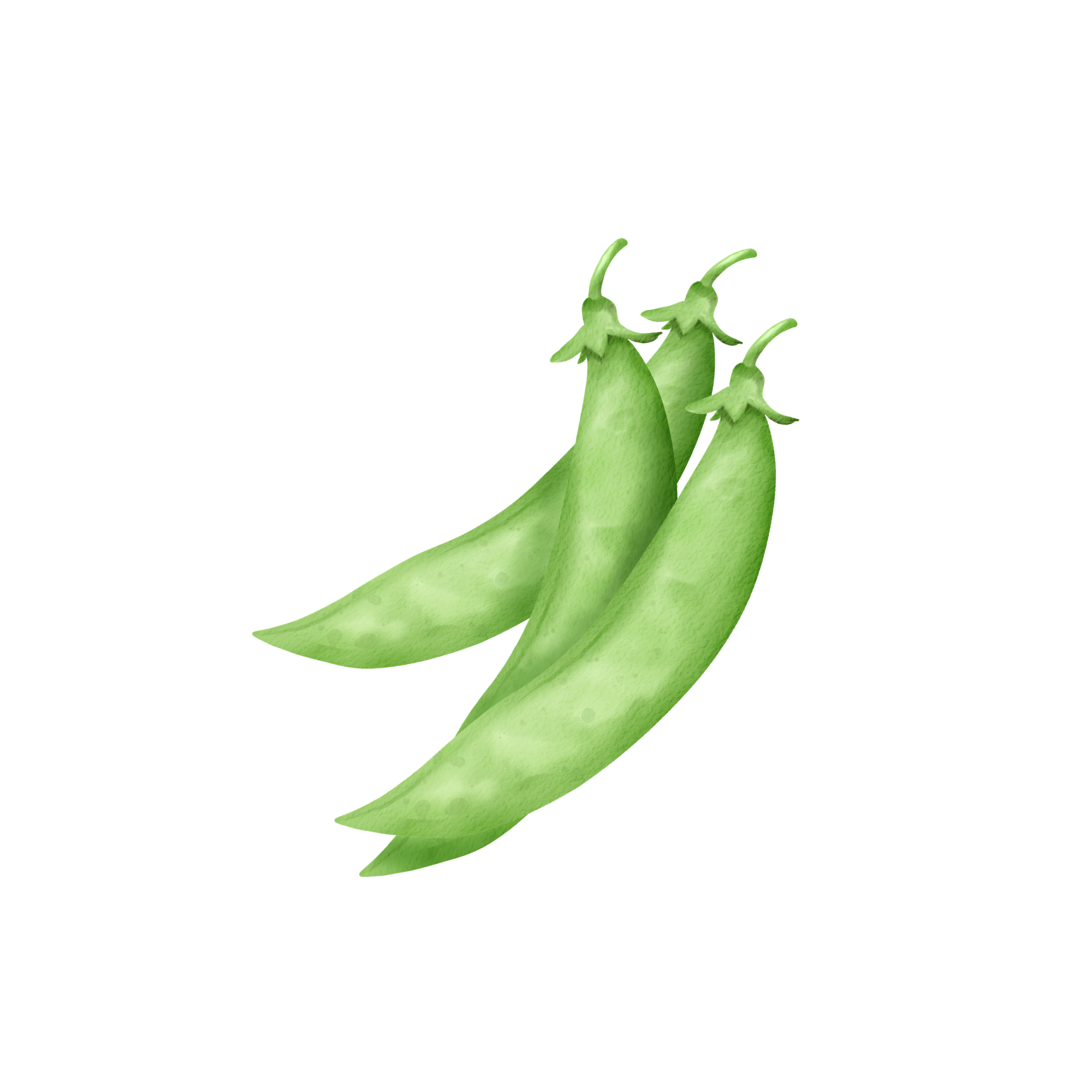 Sugar Snap Peas