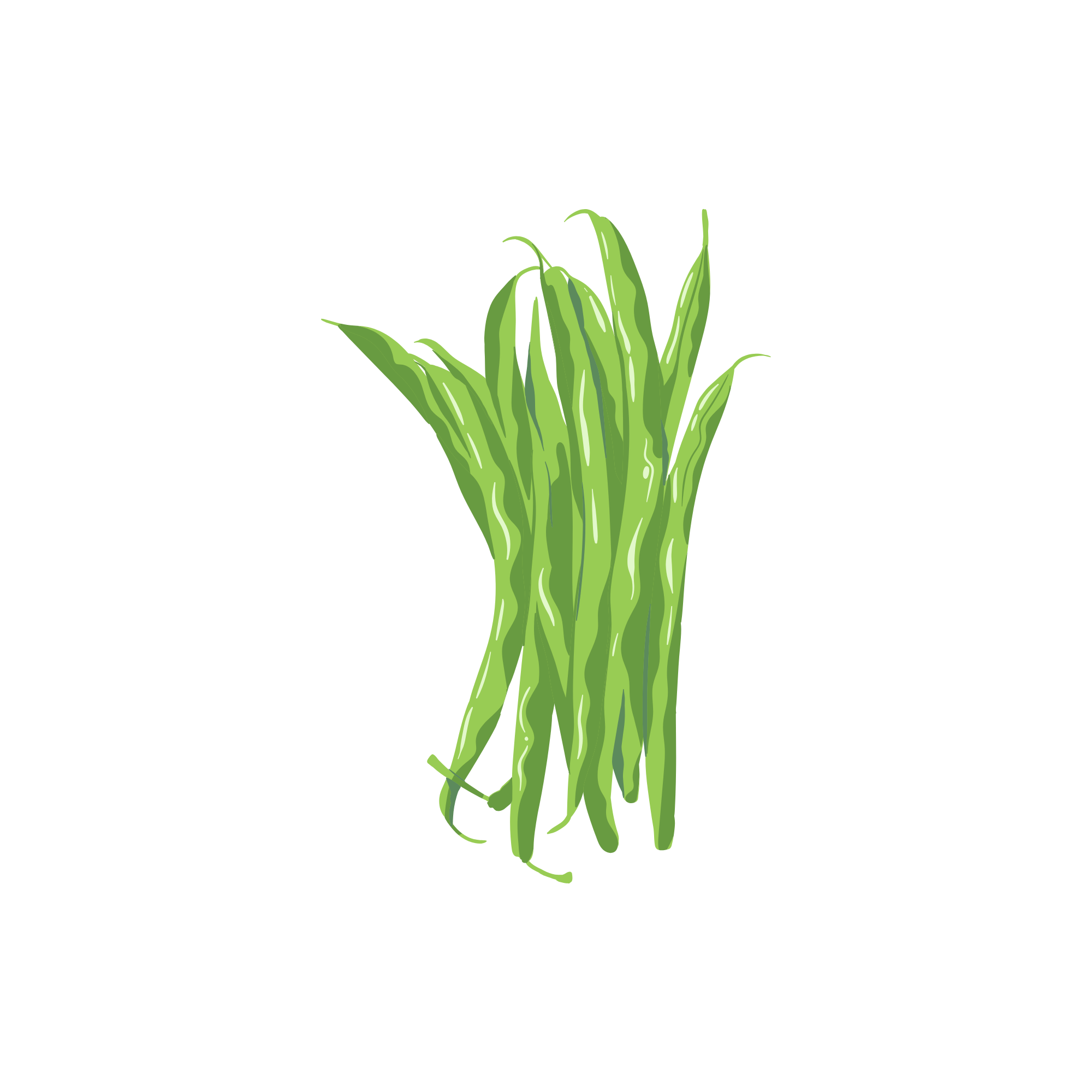 Green Beans