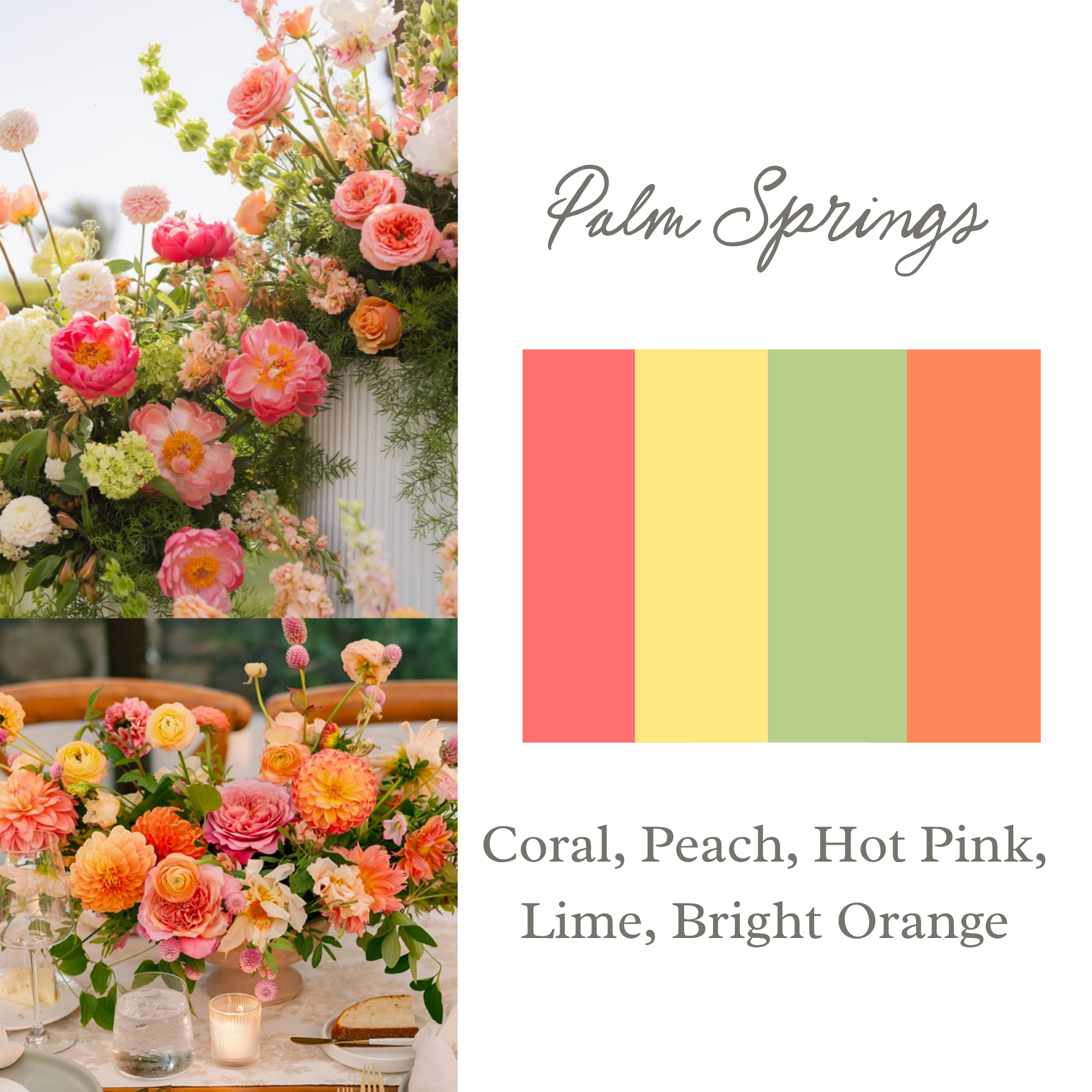 Spring (10).png