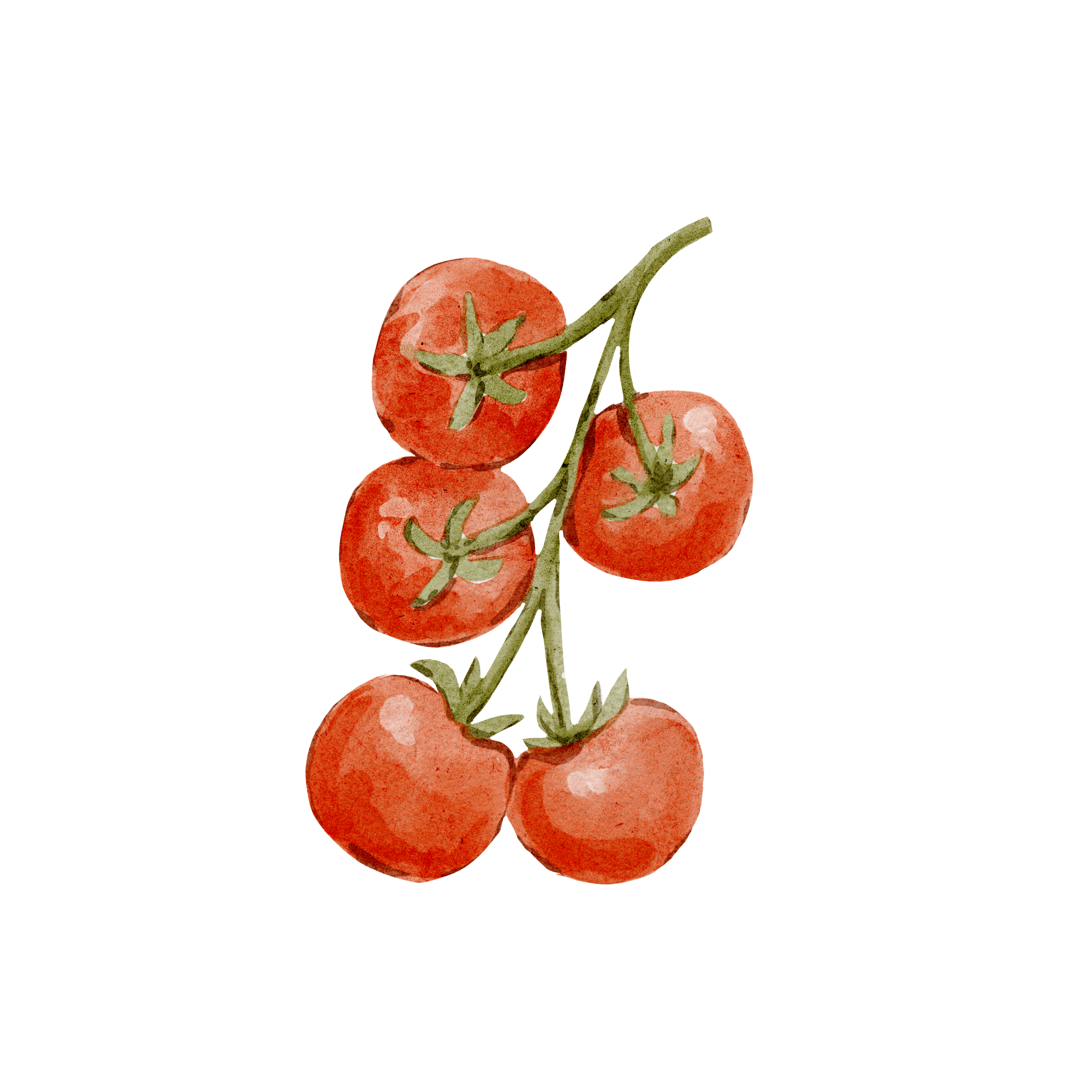 Cherry Tomatoes